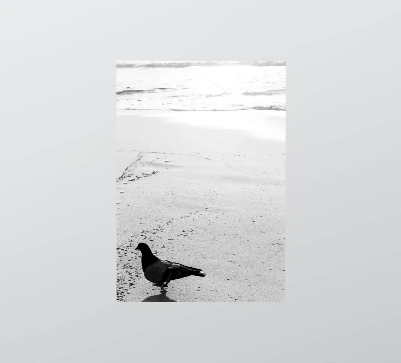 Sabbatical sticker by rafael campezato