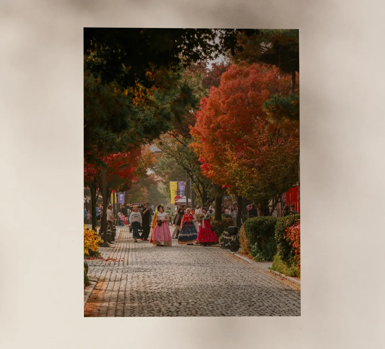 La via dell'autunno a Jeonju, Corea del Sud pellicola backlit da mbgraphx2