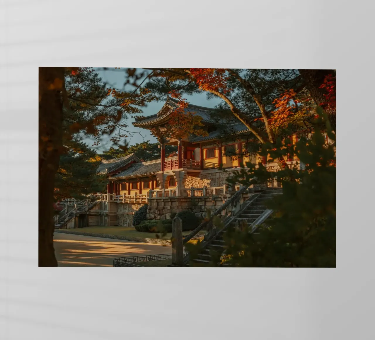 Autunno al tempio Bulguksa di Gyeongju, Corea del Sud pellicola backlit da mbgraphx2