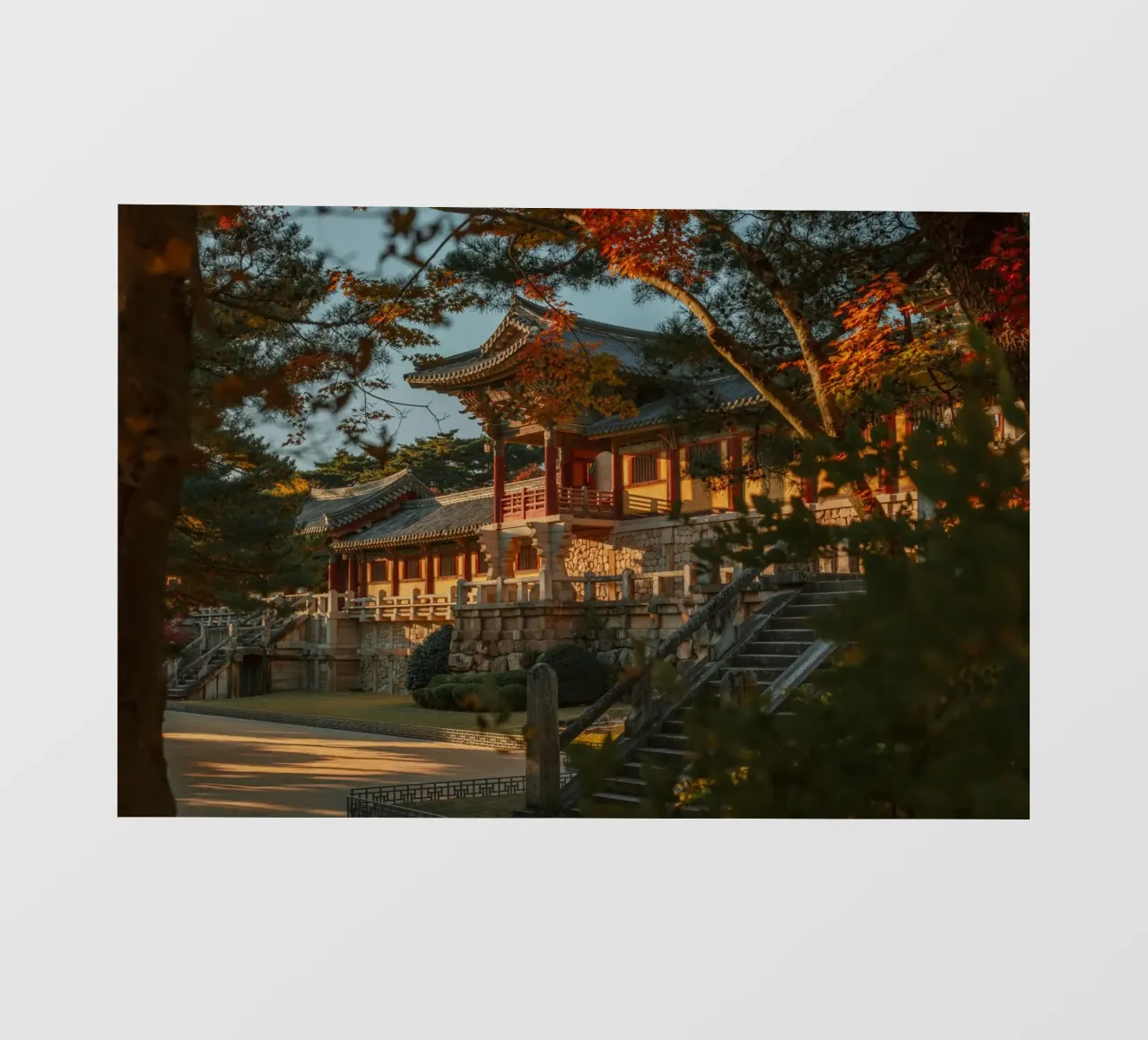 Autunno al tempio Bulguksa di Gyeongju, Corea del Sud pellicola backlit da mbgraphx2