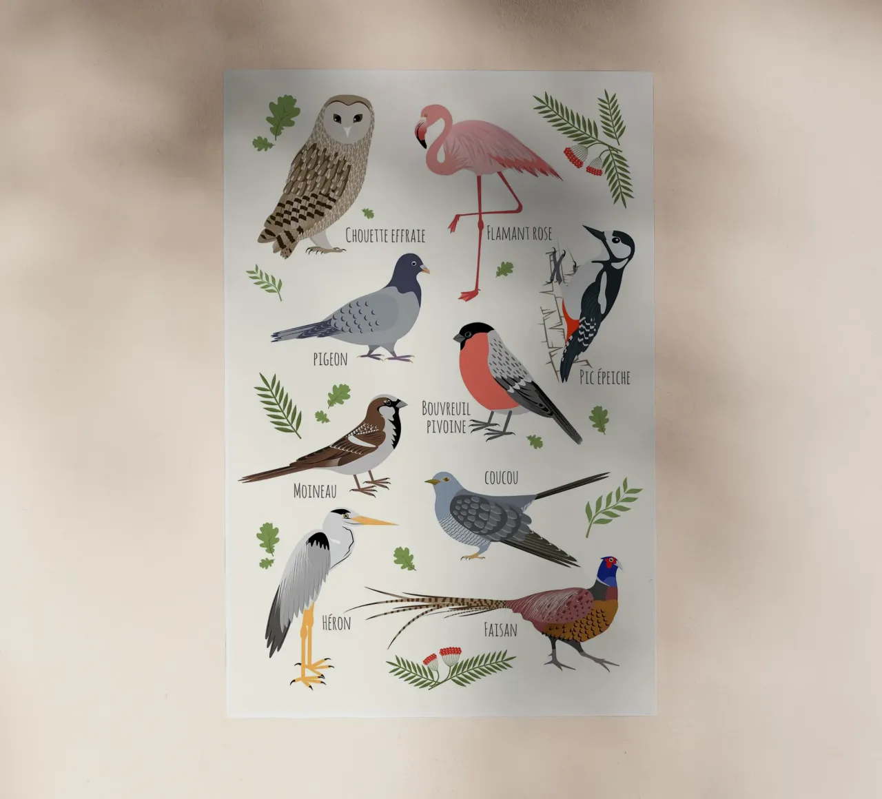 Specie di uccelli - Francese pellicola backlit da earl BM