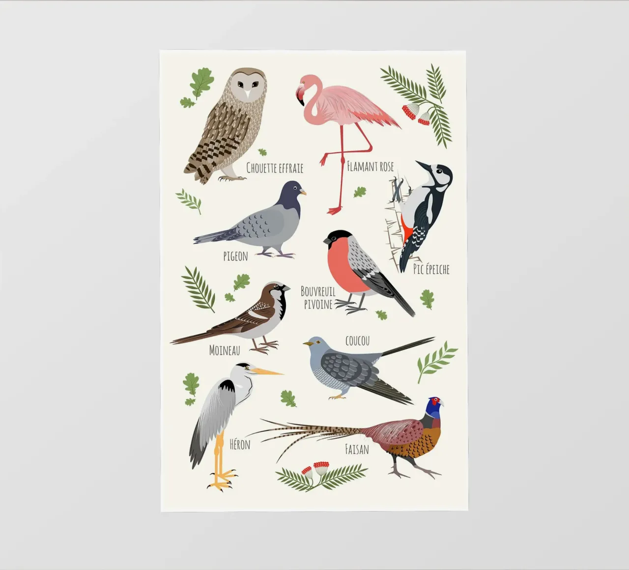 Specie di uccelli - Francese pellicola backlit da earl BM