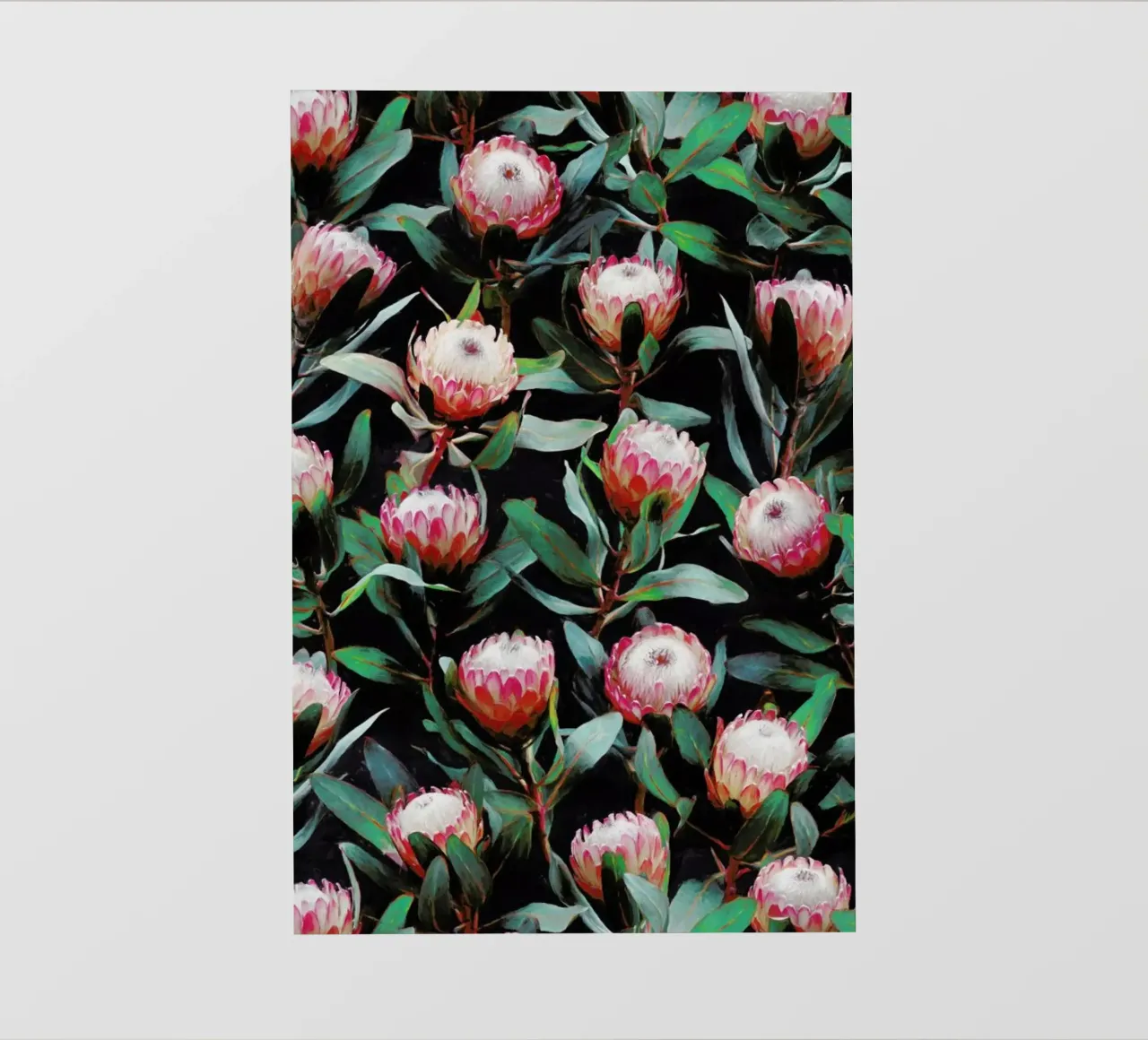 Evening Proteas in Color pellicola backlit da Micklyn Le Feuvre