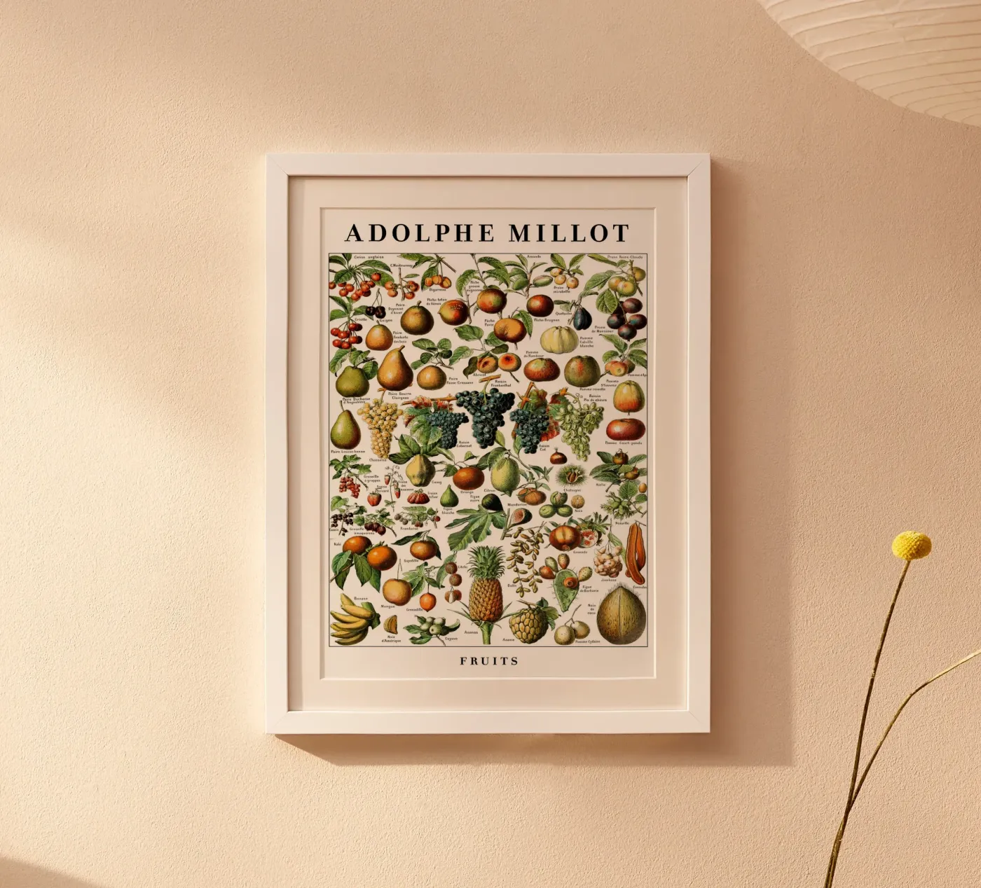 Fruit I poster by Rob Lewis