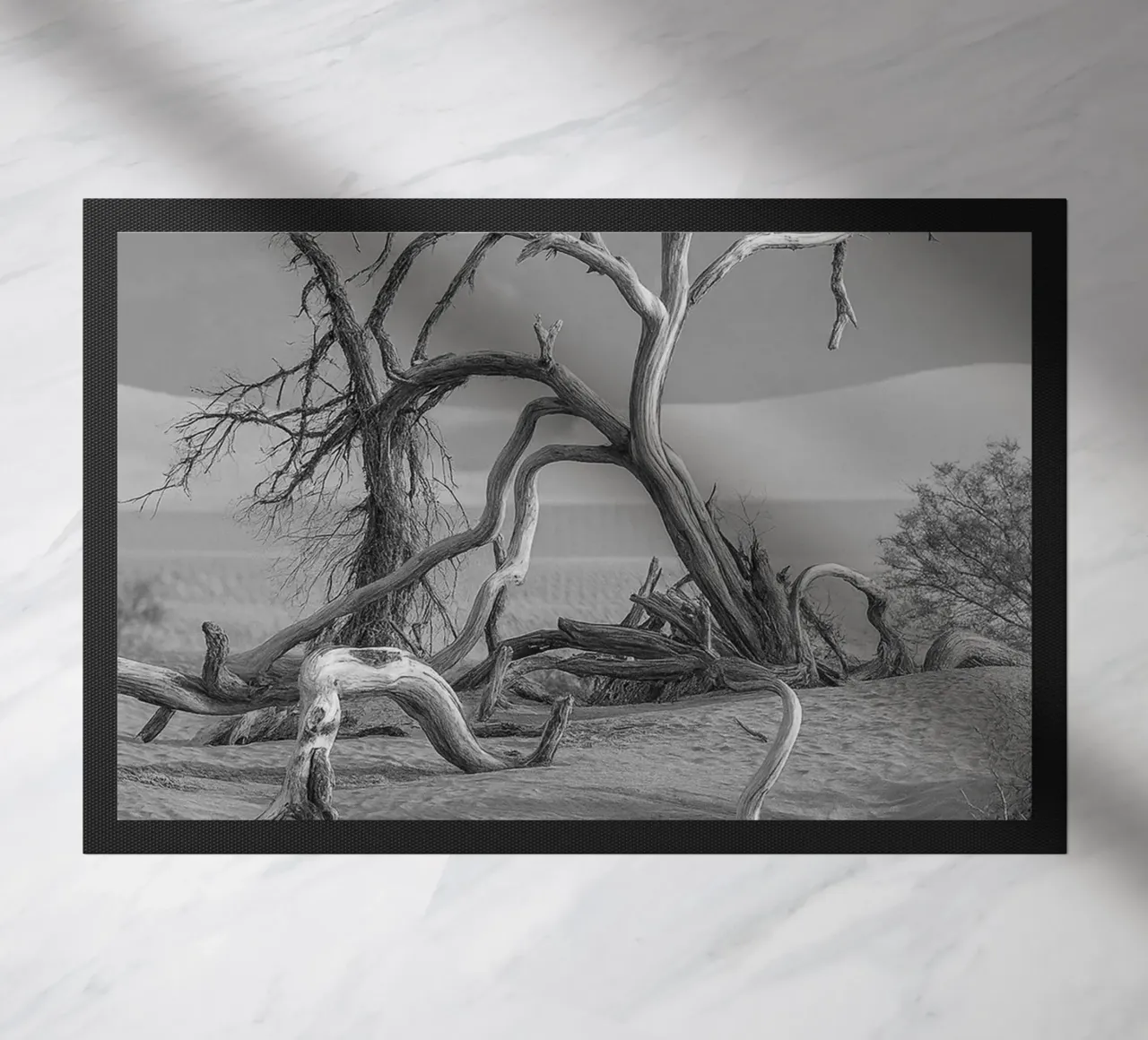 alberi secchi zerbino da BlogSawoo