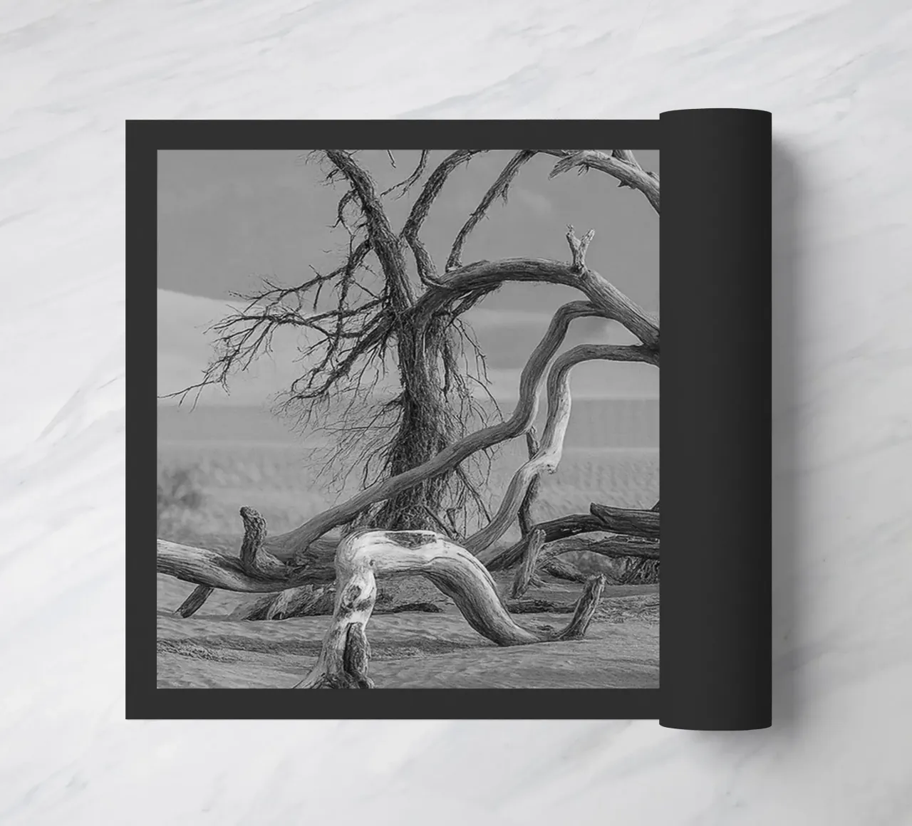 alberi secchi zerbino da BlogSawoo