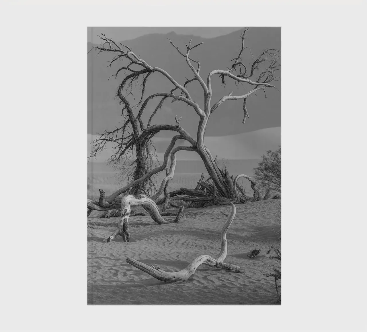 dry trees notebook by BlogSawoo