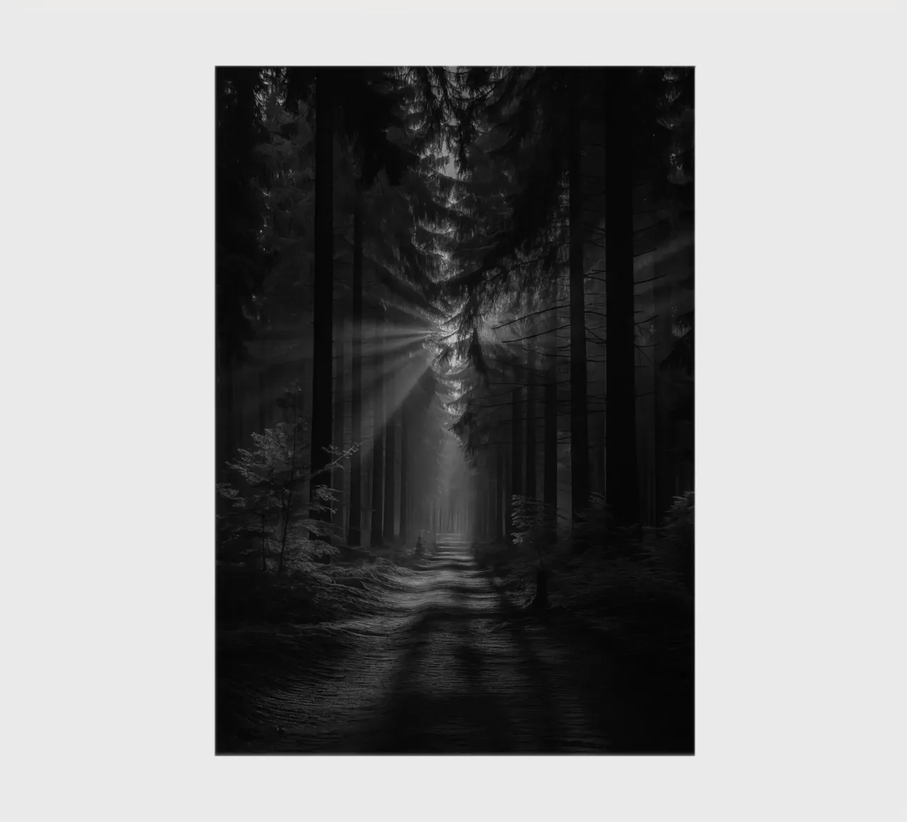 path at the forest notebook by BlogSawoo