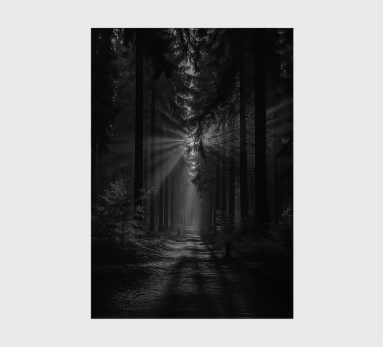 path at the forest notebook by BlogSawoo