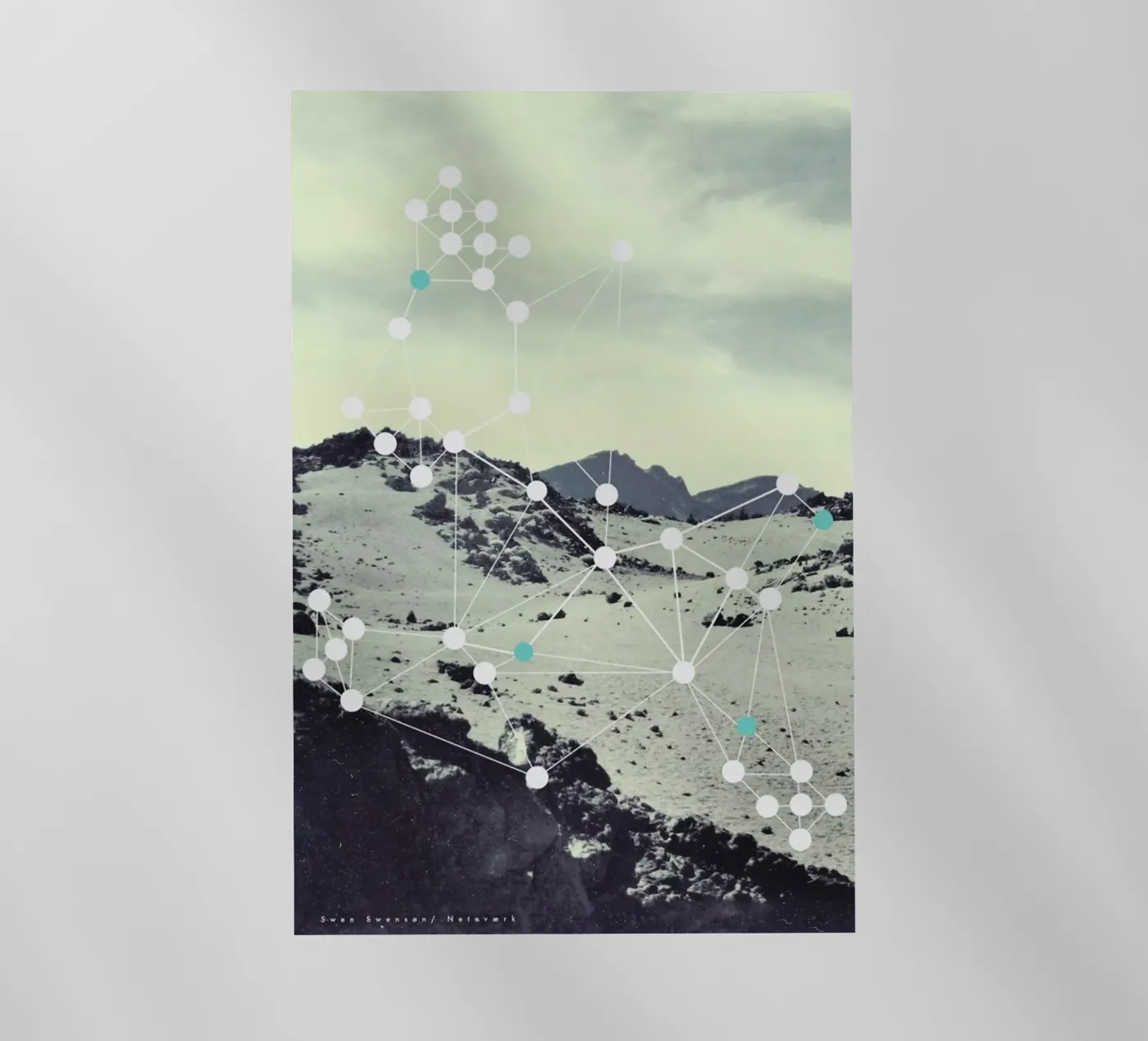 Netvaerk pellicola backlit da Swen Swensøn