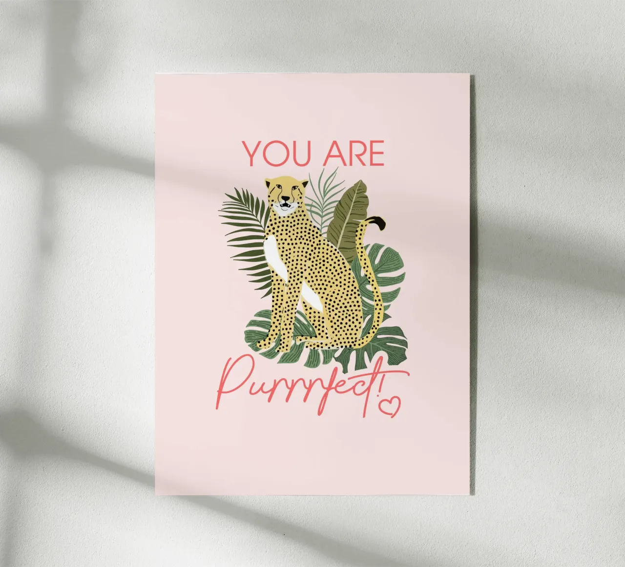 Sei Purrrfetto plexiglass da Tiny Wonder Co.