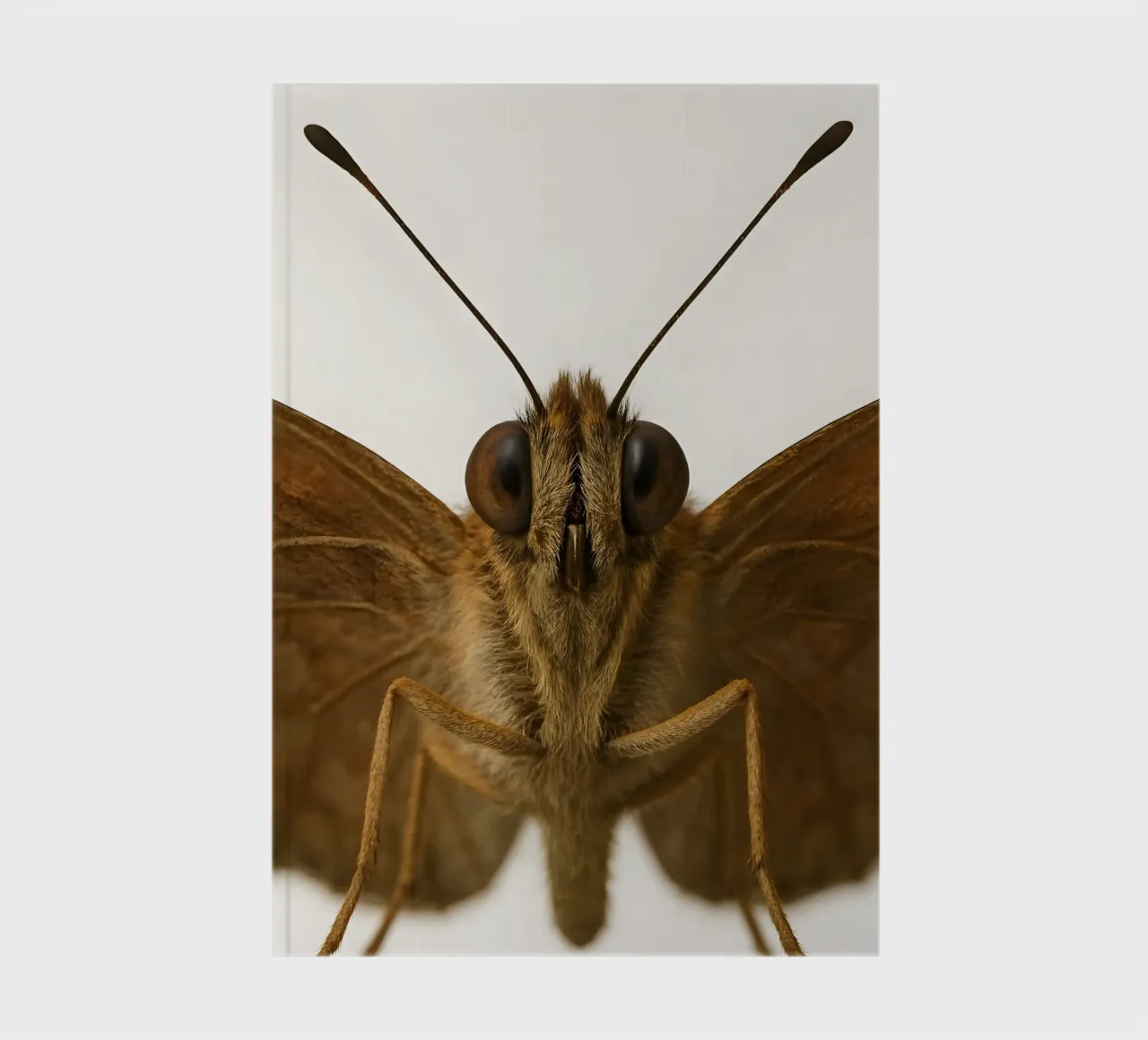 Ultra-Real Butterfly Macro Portrait – Nature Close-Up Art notebook by Happy Wild Prints