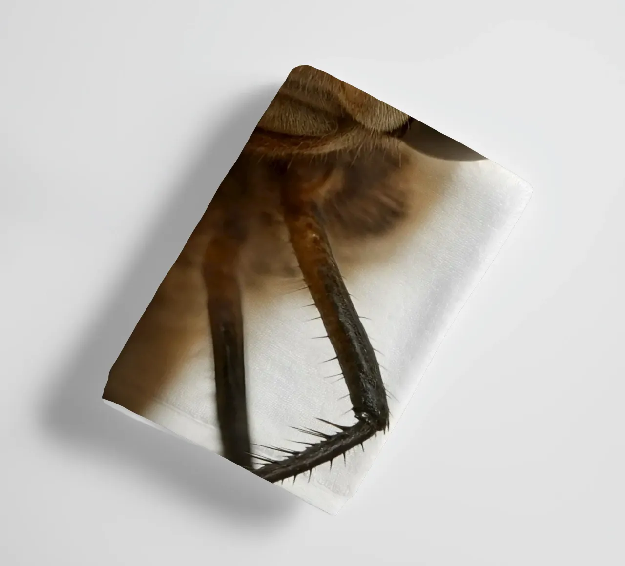 Ultra Close-Up Dragonfly Portrait – Macro Insect Art Print towel by Happy Wild Prints