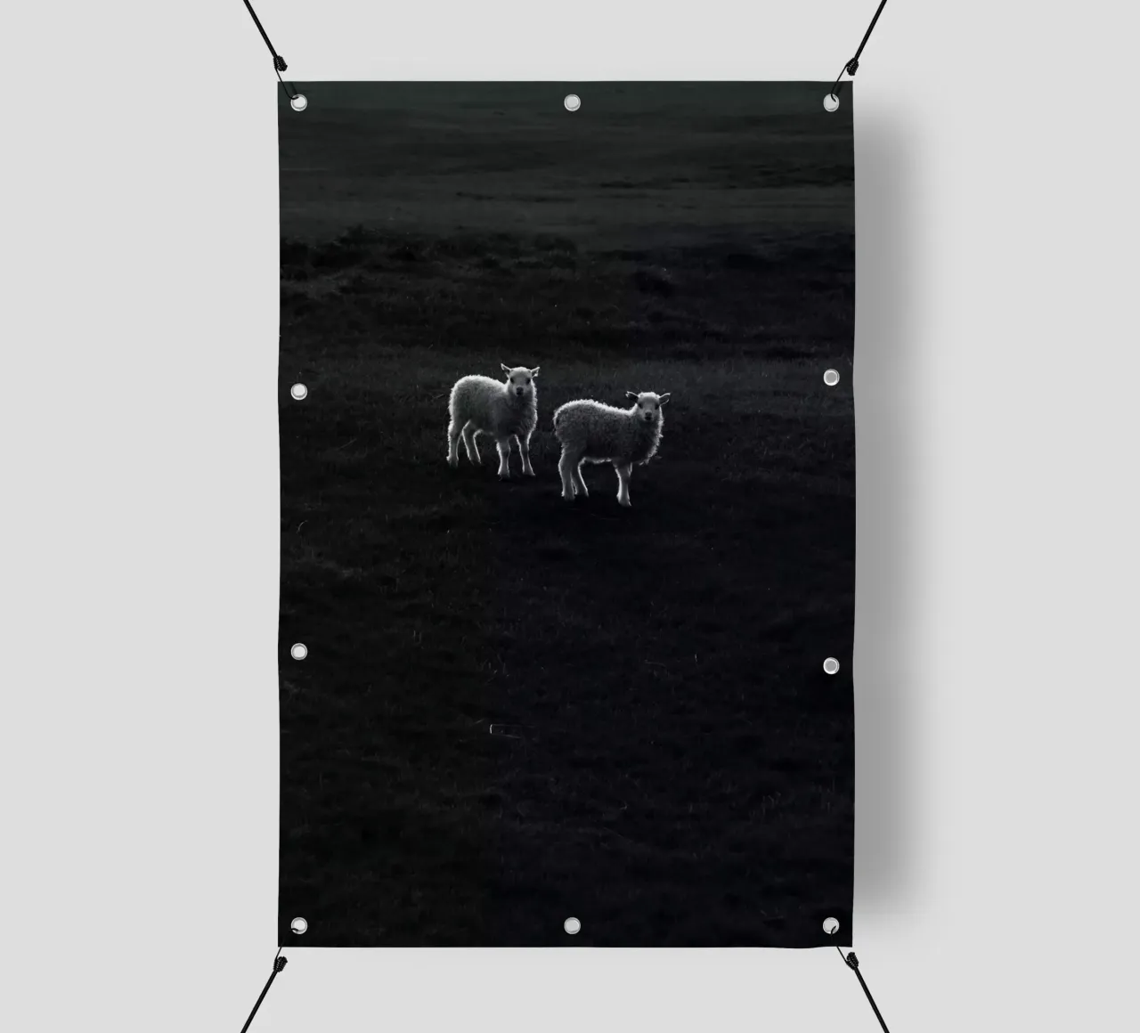 Two Little Lambs telo in pvc da Fjöllart