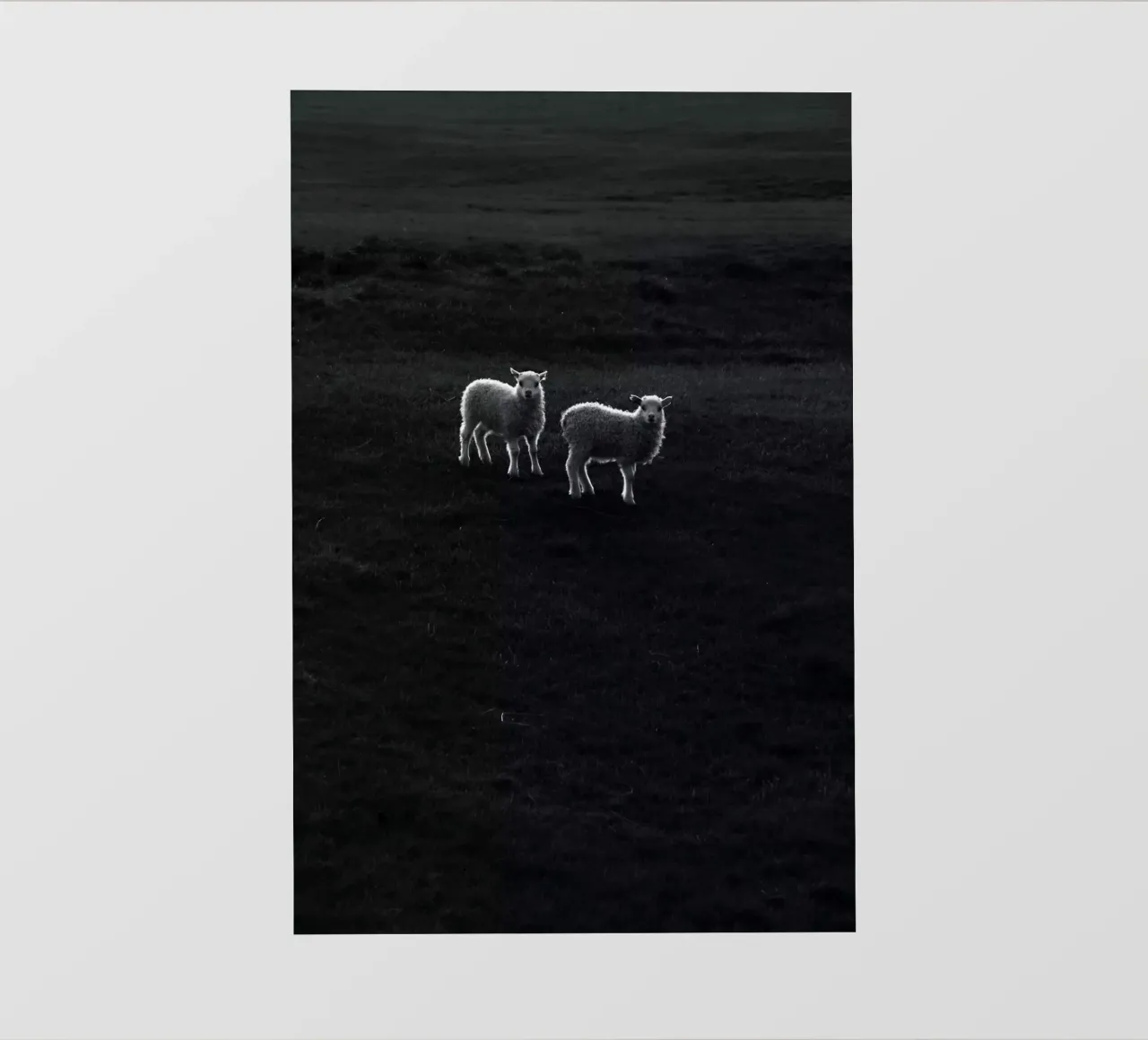 Two Little Lambs telo in pvc da Fjöllart