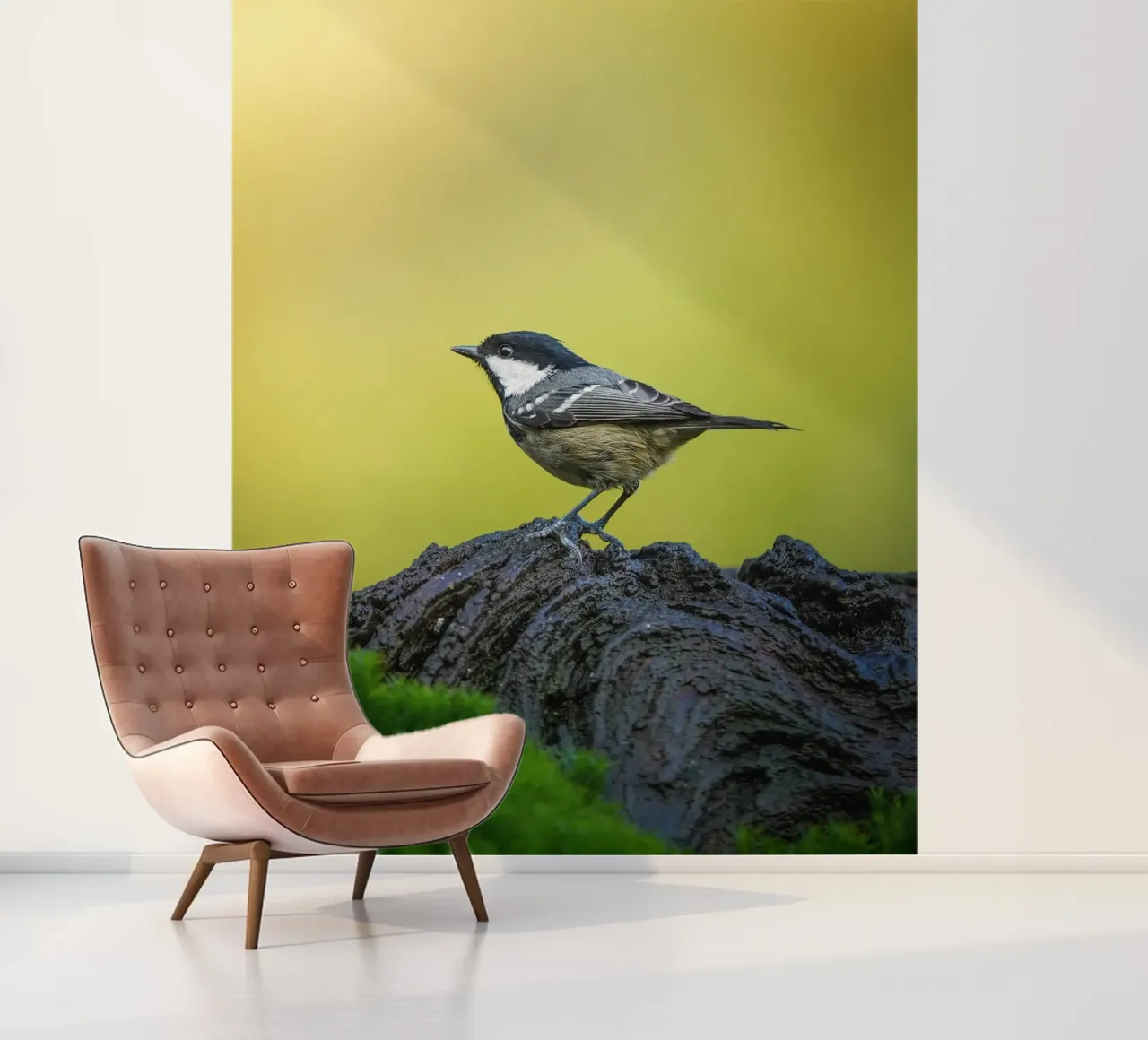 Koolmees fotobehang van Tom's Wildlife