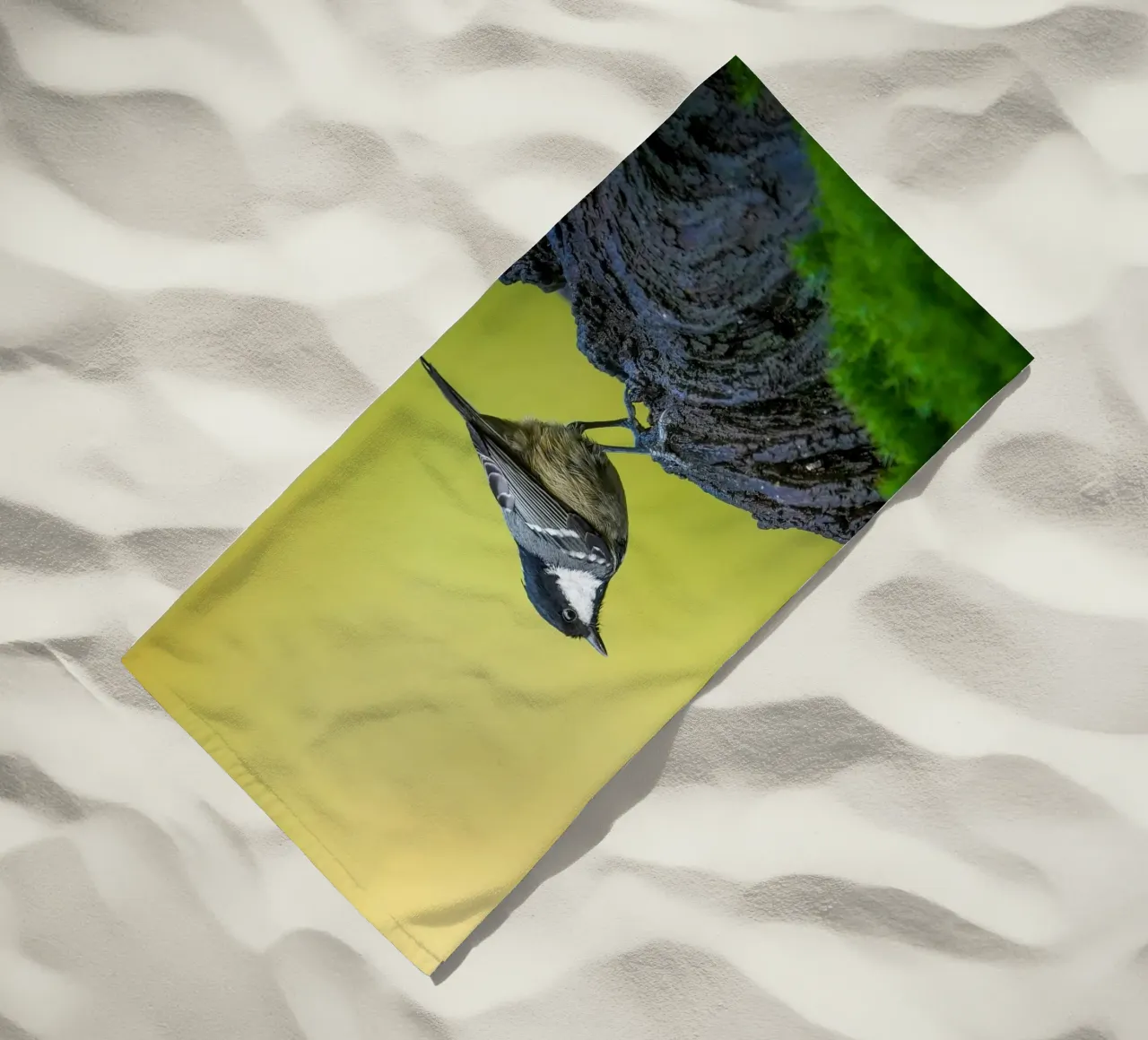 Tetta di carbone telo mare da Tom's Wildlife