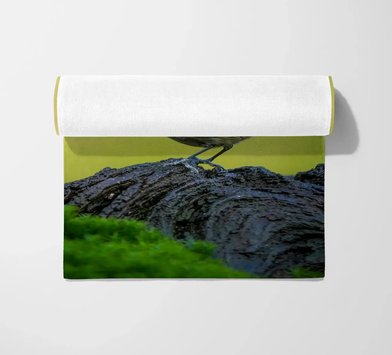 Tetta di carbone telo mare da Tom's Wildlife