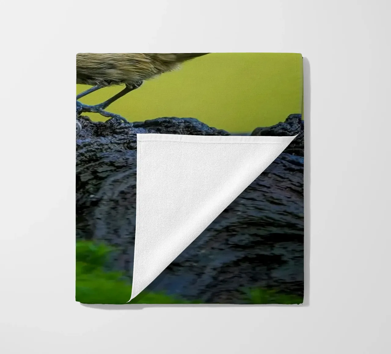 Tetta di carbone telo mare da Tom's Wildlife