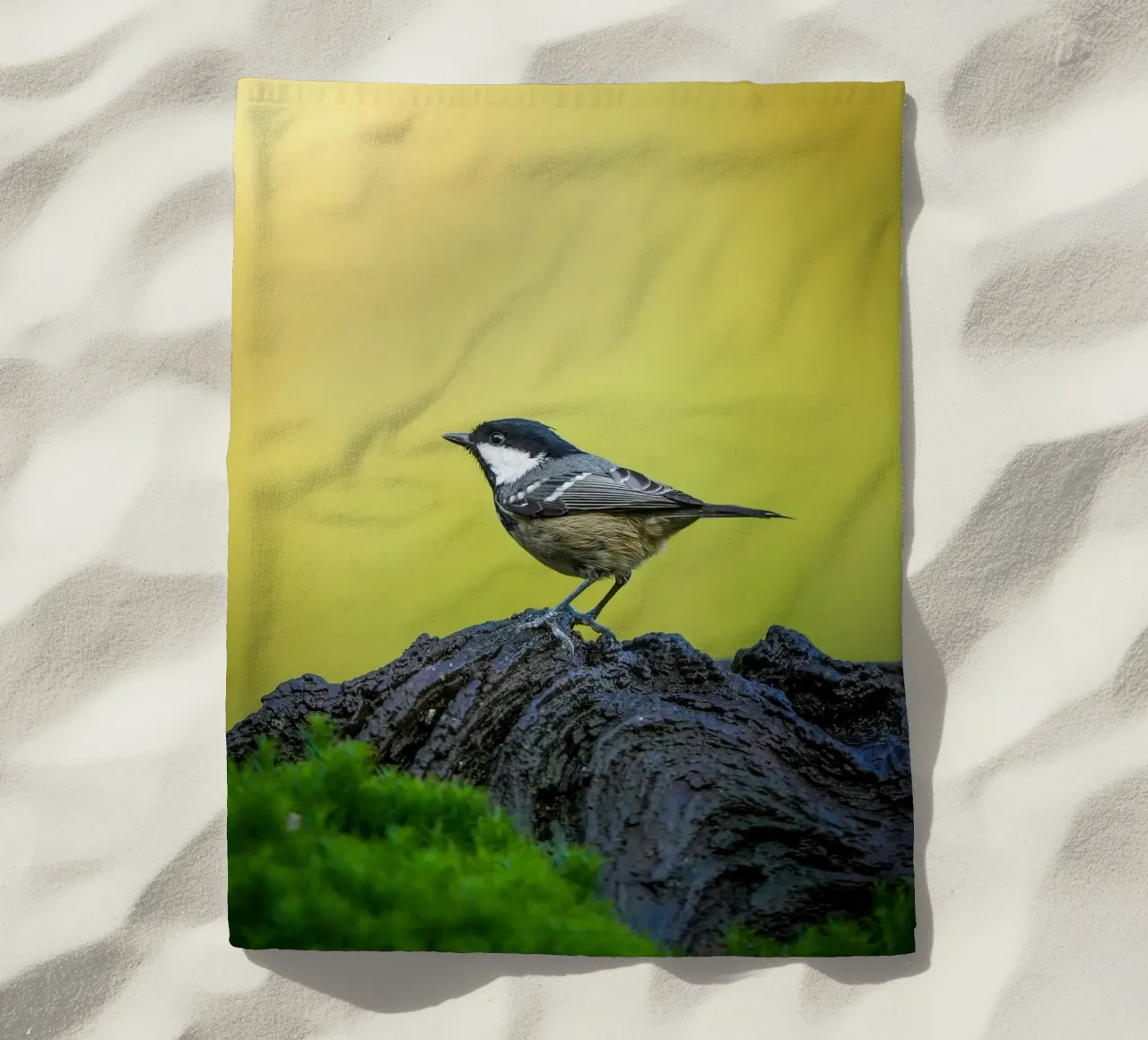 Tetta di carbone telo mare da Tom's Wildlife