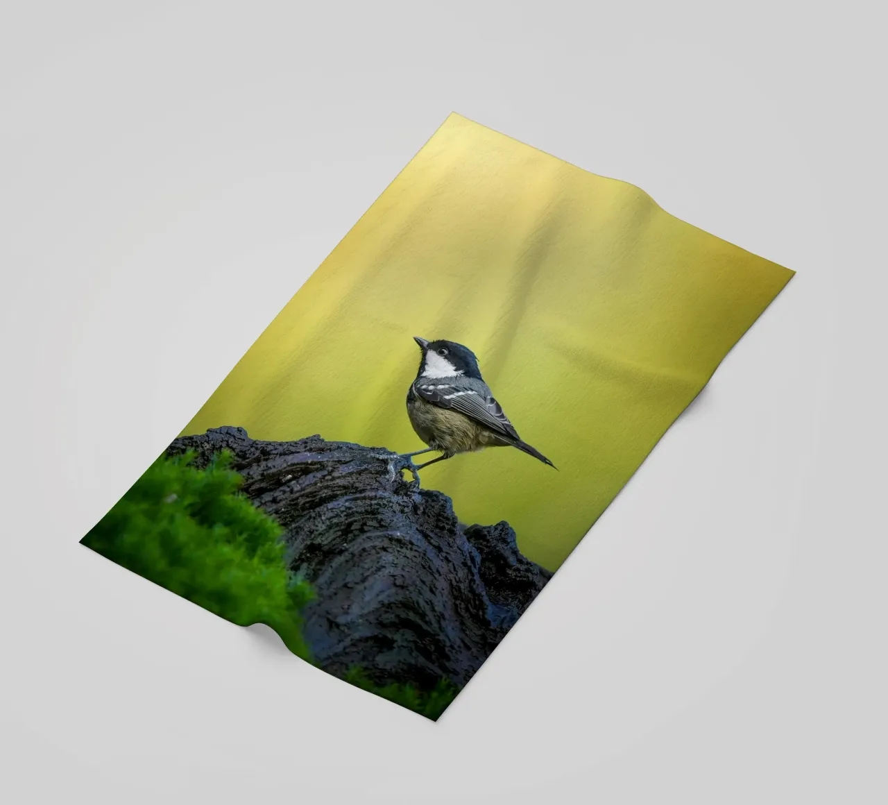 Tetta di carbone telo mare da Tom's Wildlife