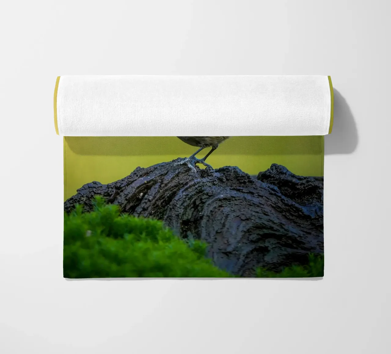 Tetta di carbone telo mare da Tom's Wildlife