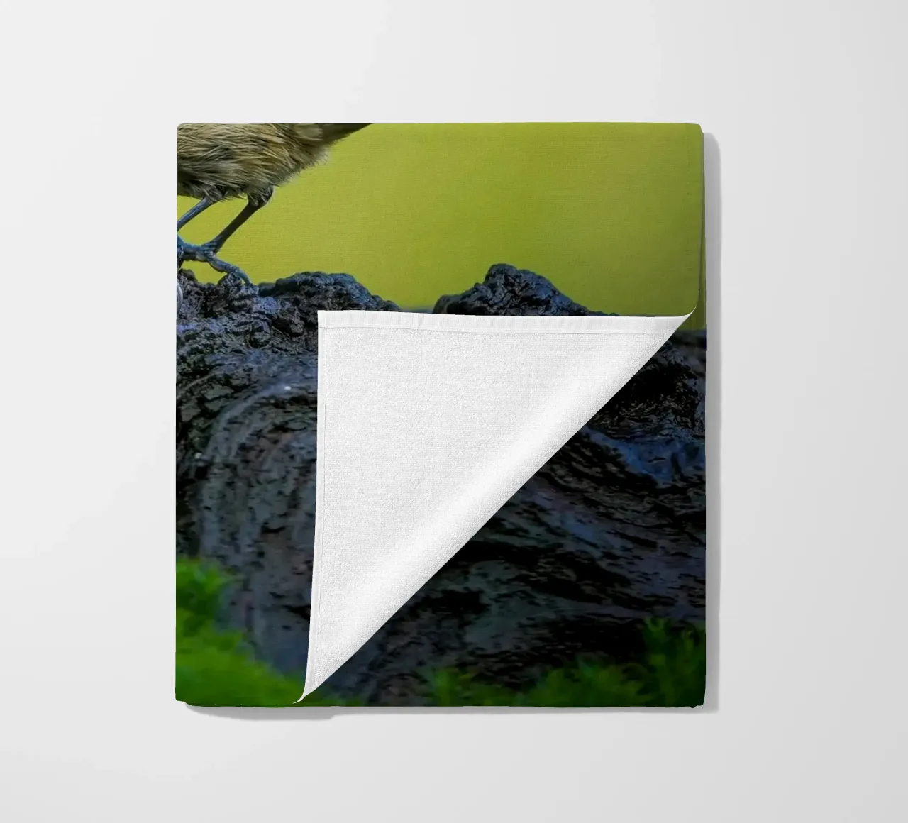 Tetta di carbone telo mare da Tom's Wildlife