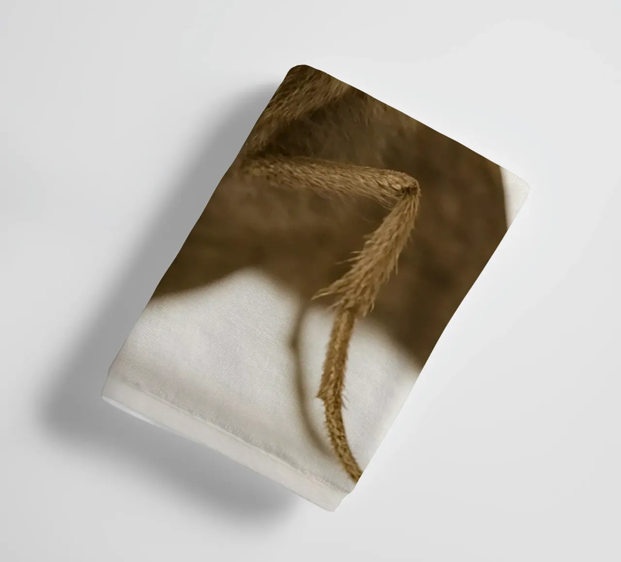 Macro Moth Portrait – Minimalist Insect Art Print towel by Happy Wild Prints