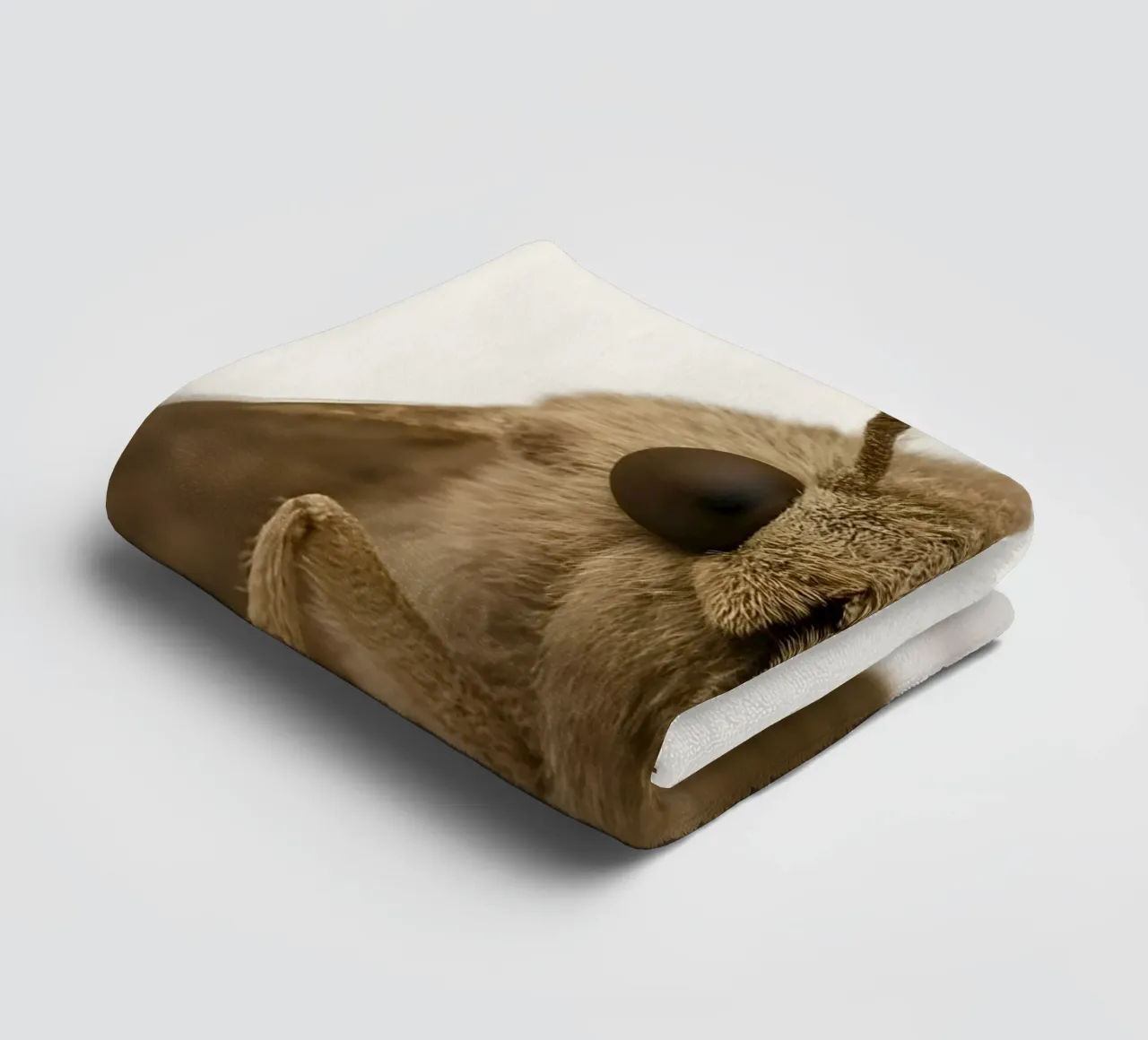 Macro Moth Portrait – Minimalist Insect Art Print towel by Happy Wild Prints