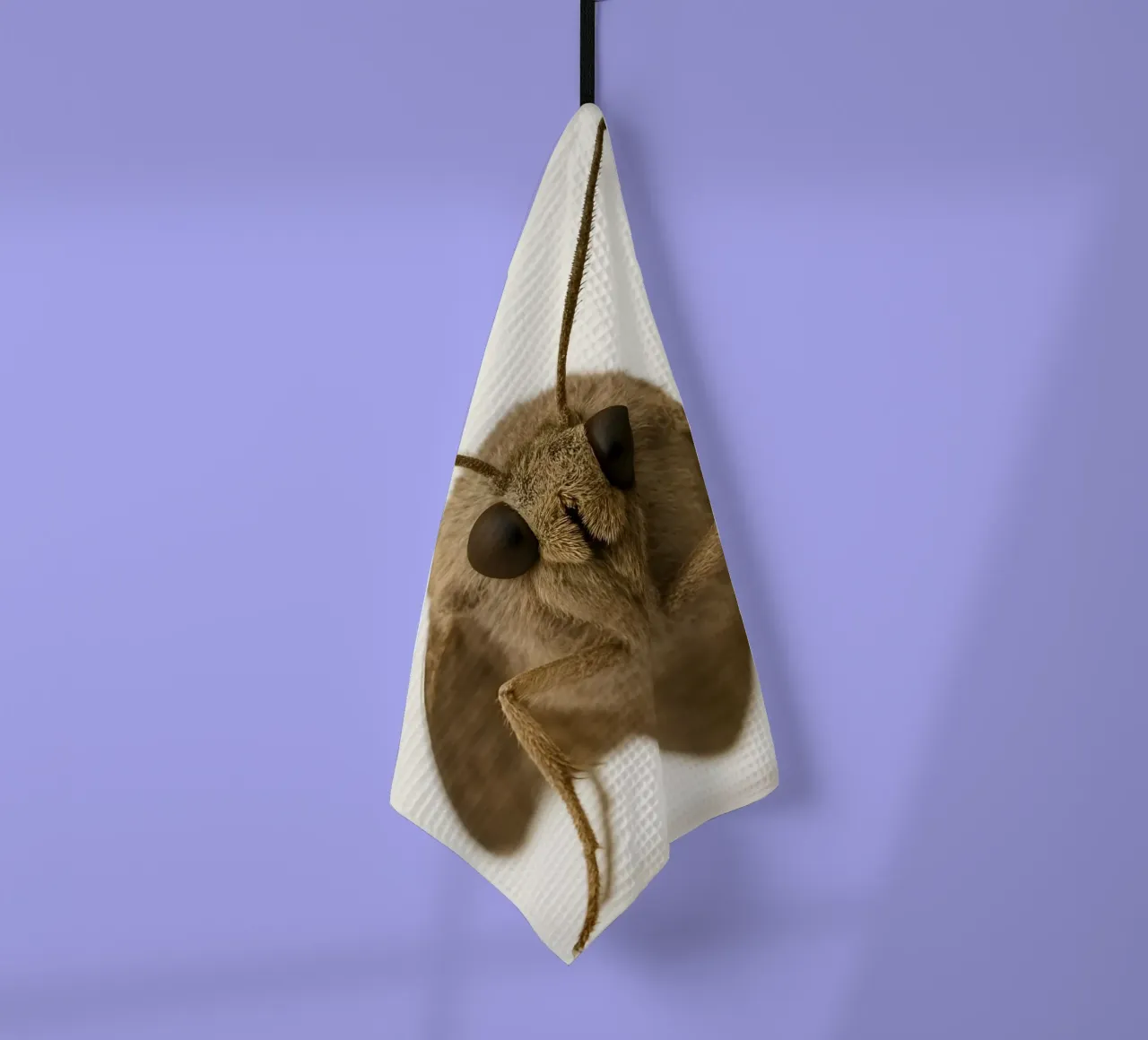 Portrait de papillon de nuit macro - Minimalist Insect Art Print torchon de Happy Wild Prints