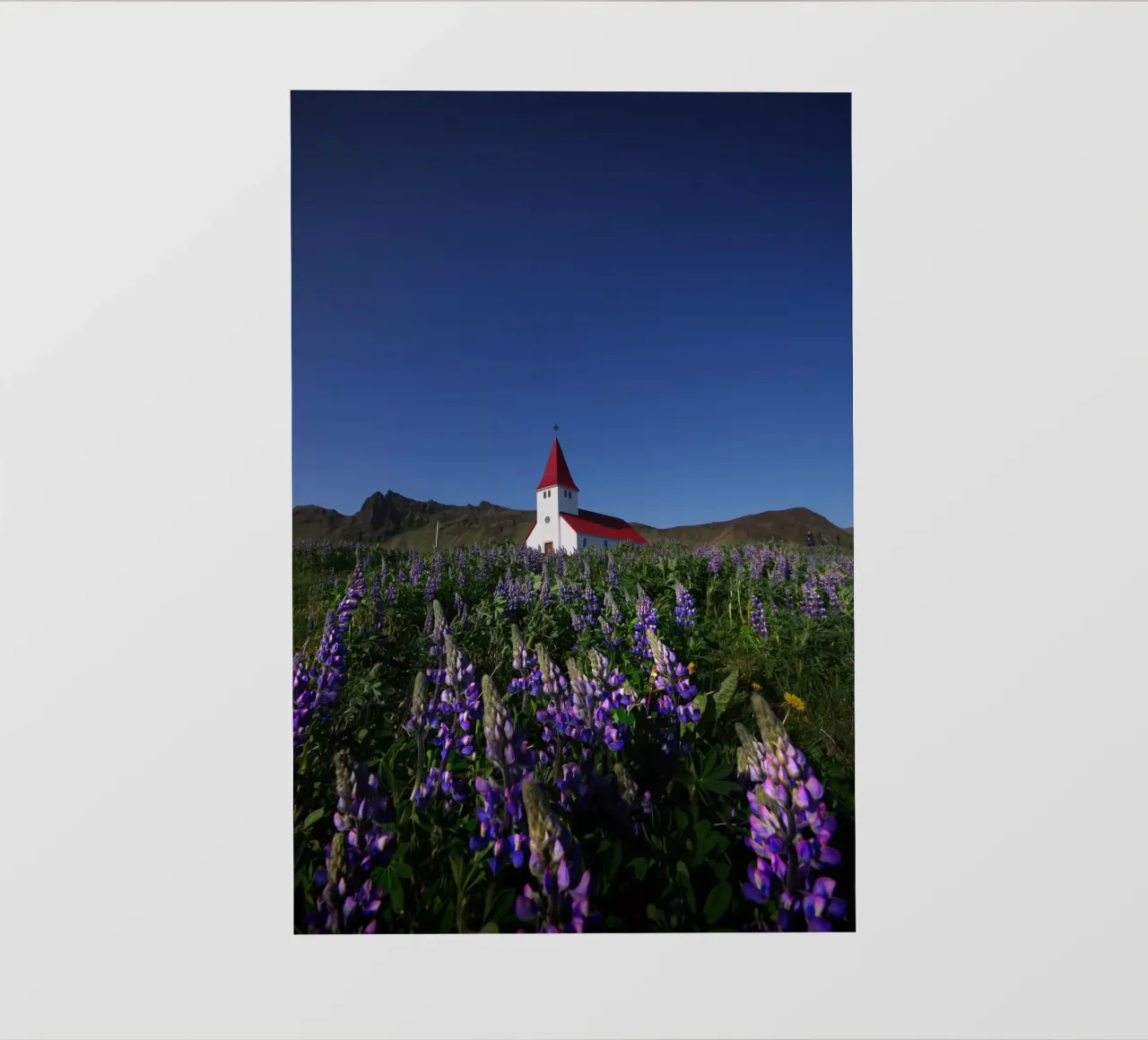 Church and lupins in Vik Fototapete von Fjöllart