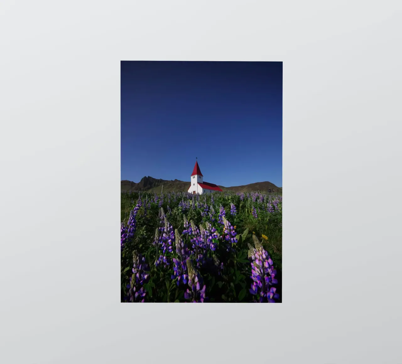 Church and lupins in Vik sticker by Fjöllart