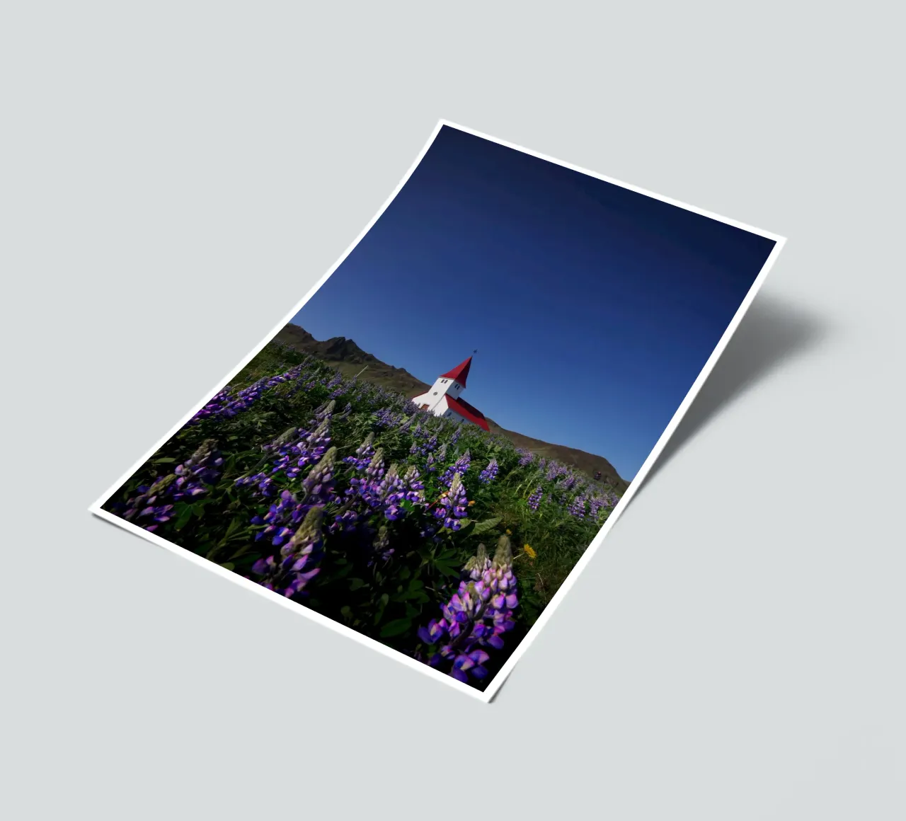 Church and lupins in Vik Stickerbogen von Fjöllart