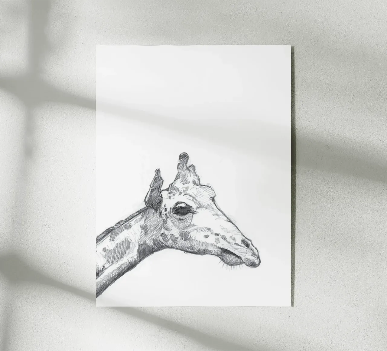 Giraffe Acryl-Glas von studio stine