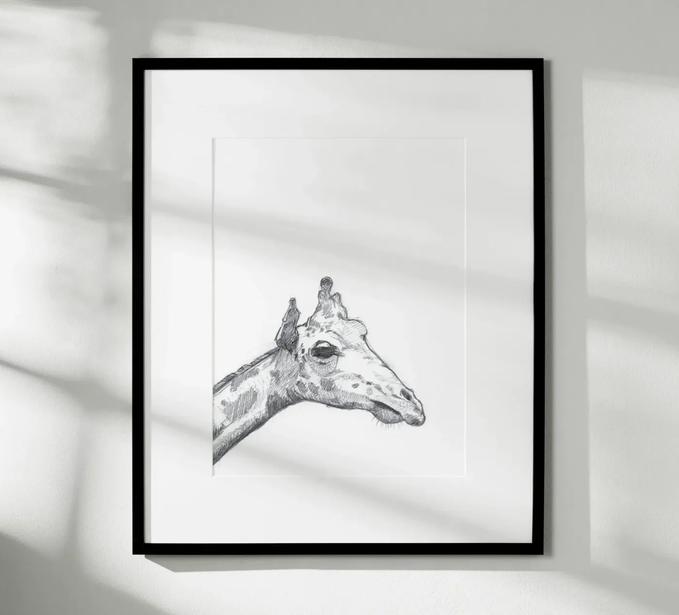 Giraffe poster de studio stine