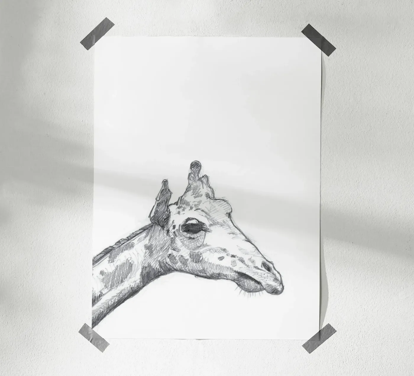 Giraffe poster de studio stine
