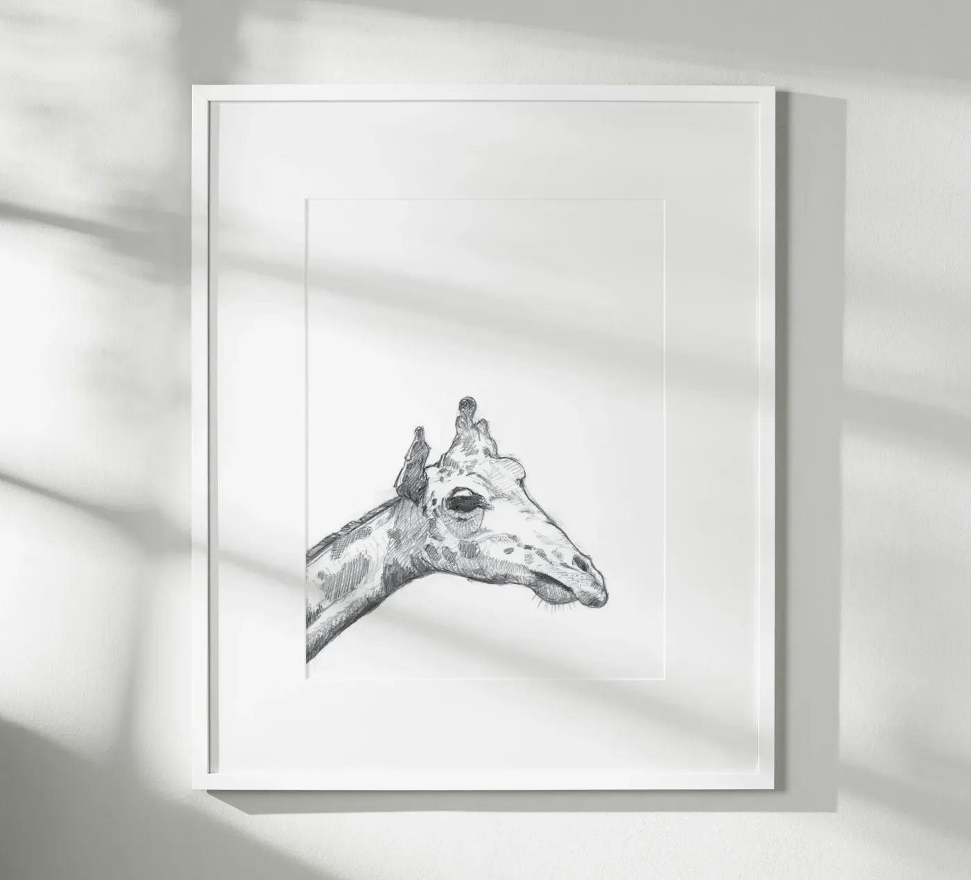Giraffe poster de studio stine