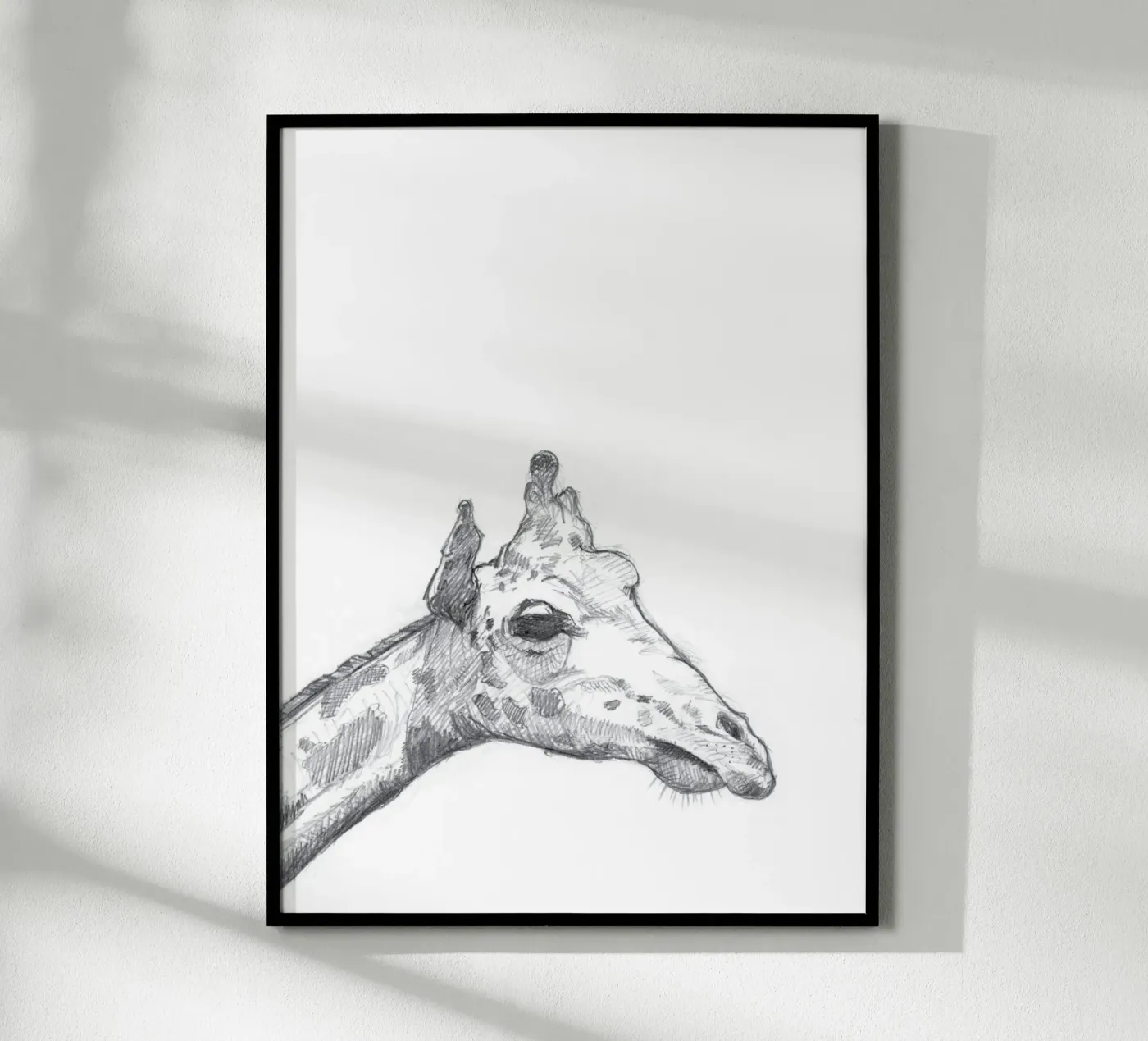 Giraffe poster de studio stine