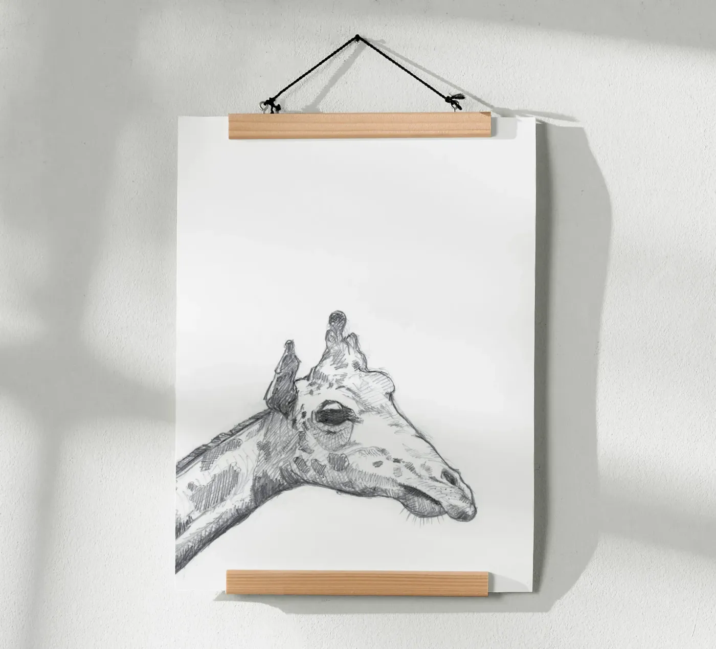 Giraffe poster de studio stine