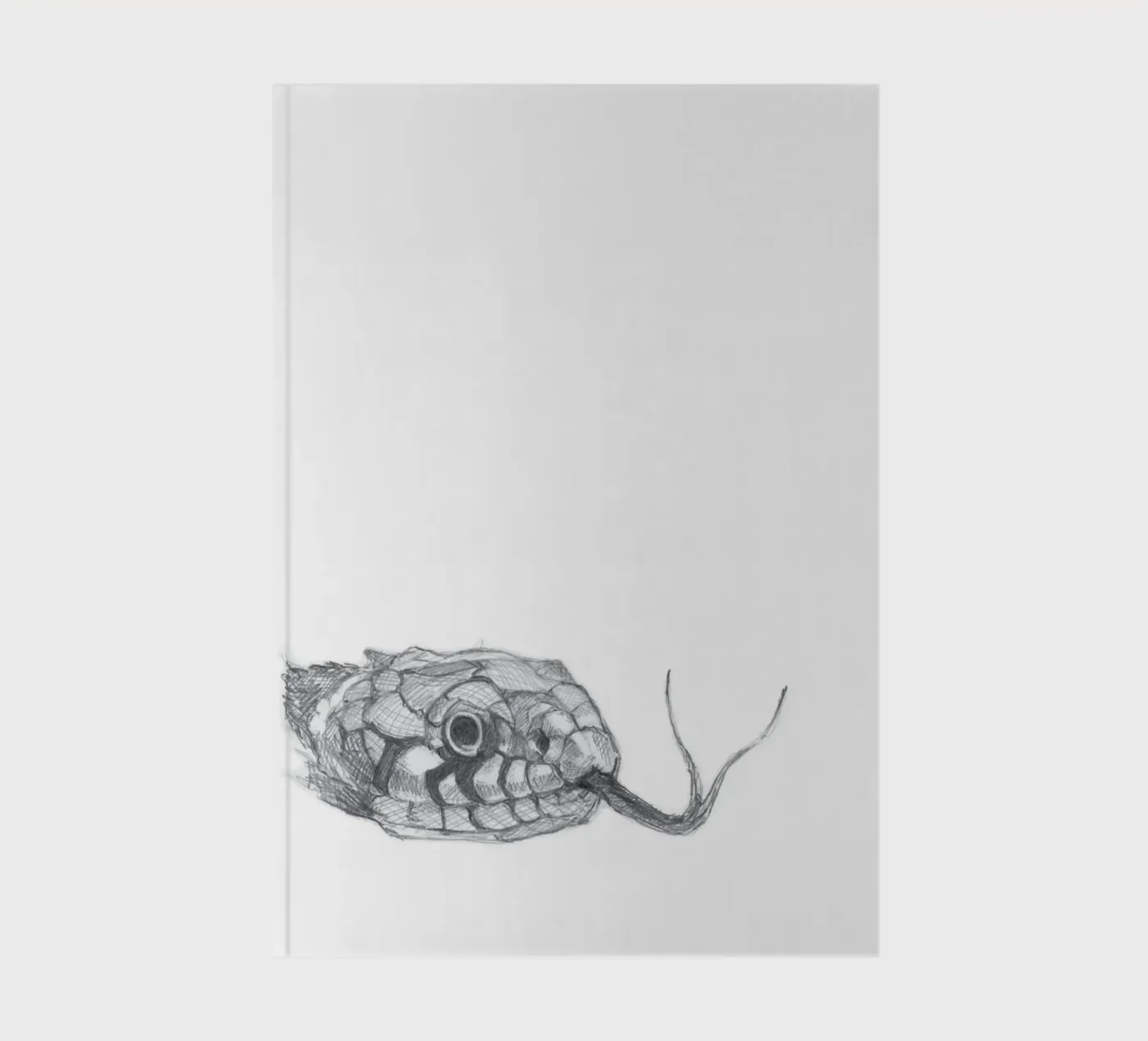 Snake notebook by studio stine