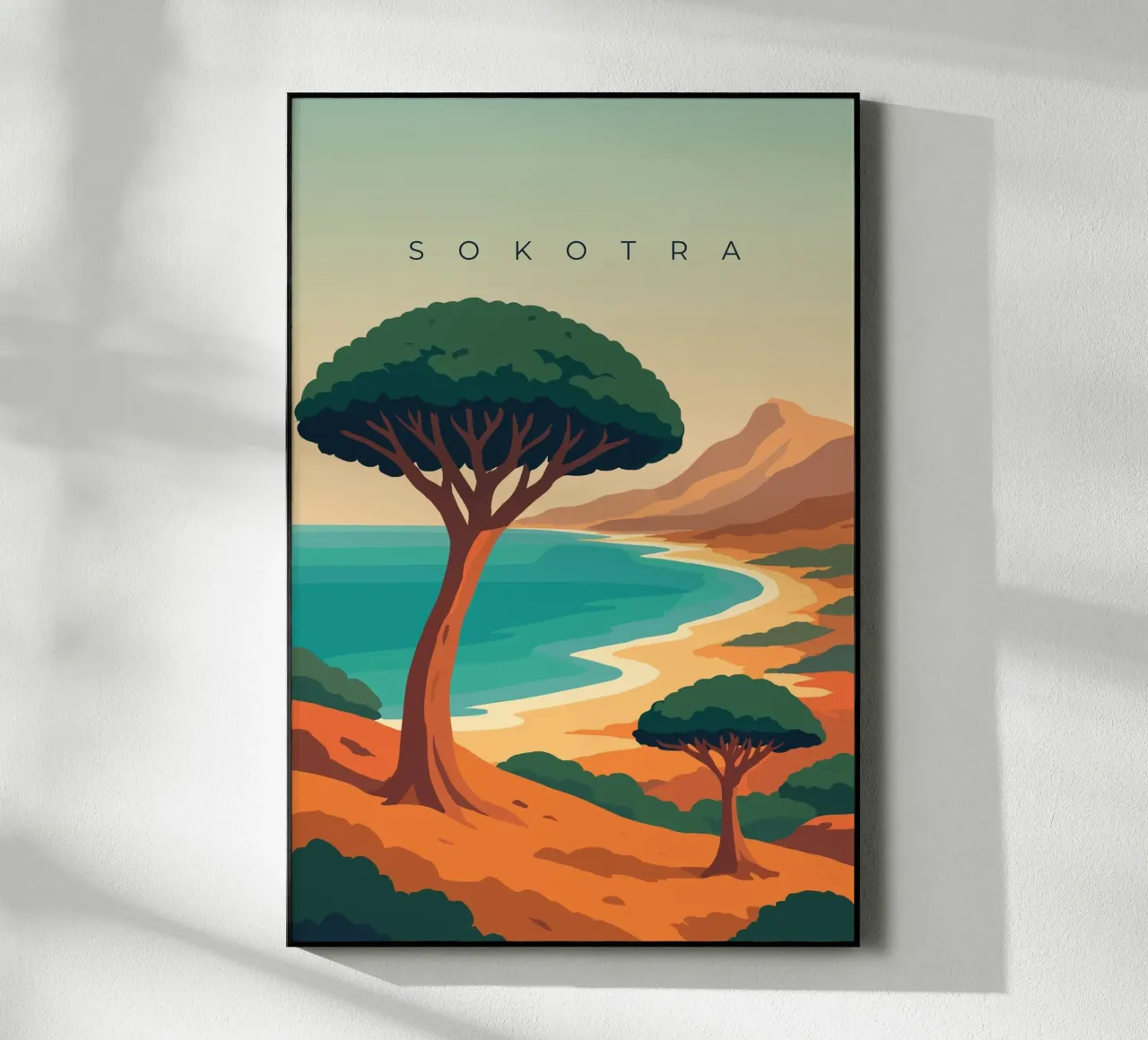 Sokotra plexiglass da minimalist designs