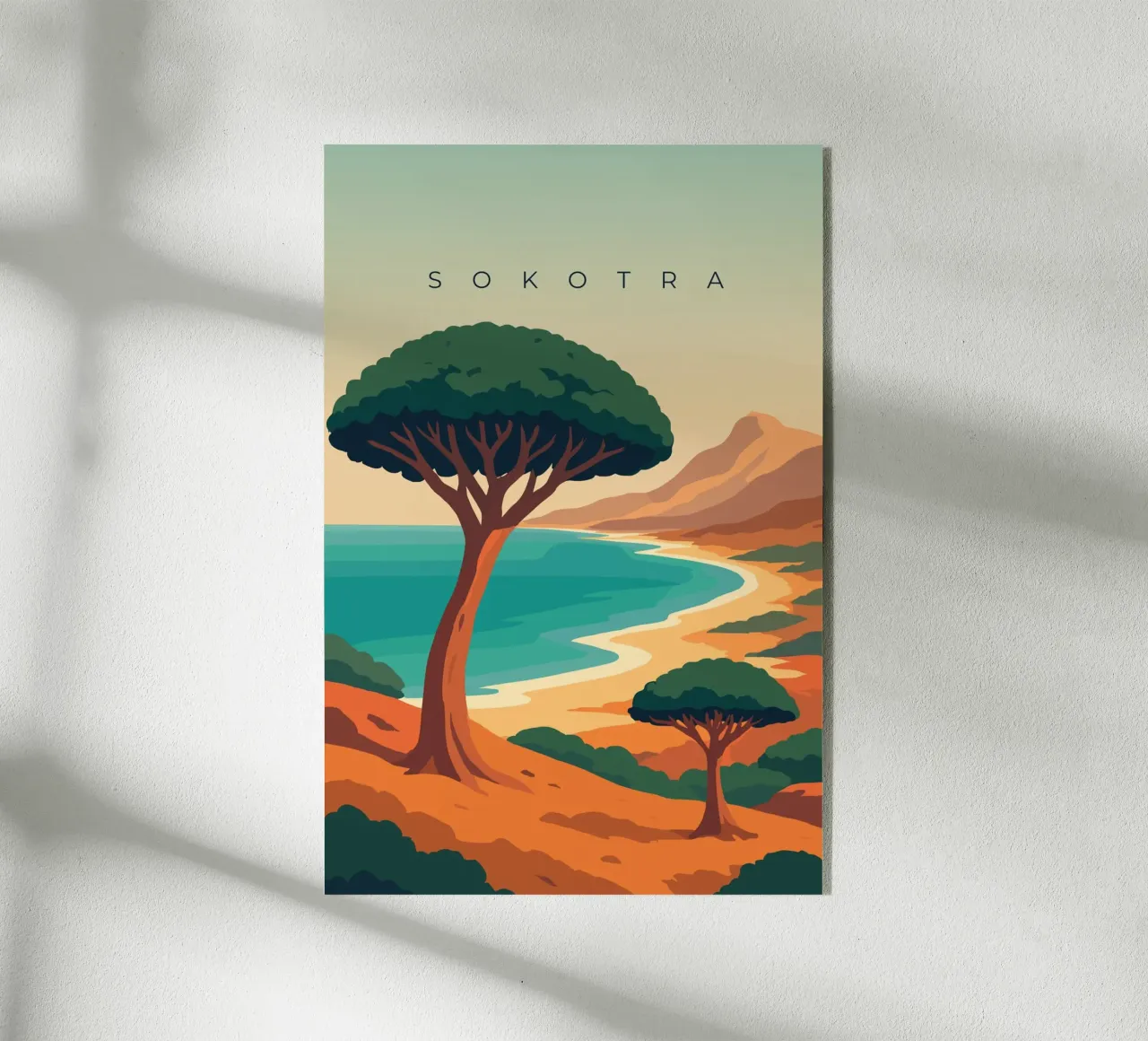 Sokotra plexiglass da minimalist designs