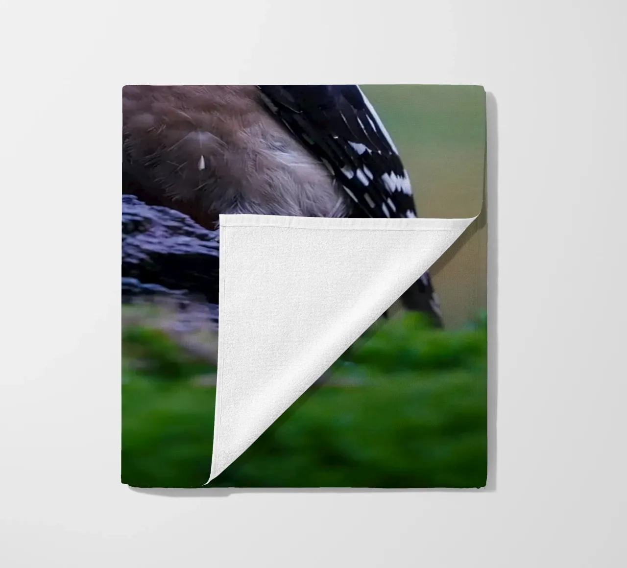 picchio telo mare da Tom's Wildlife