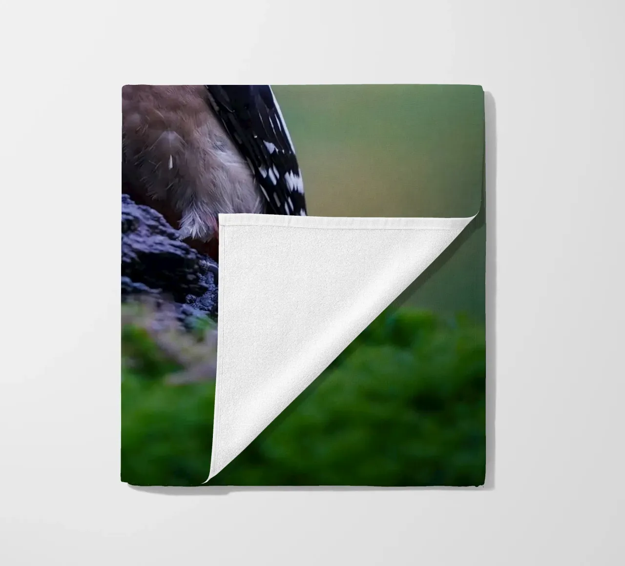 picchio telo mare da Tom's Wildlife