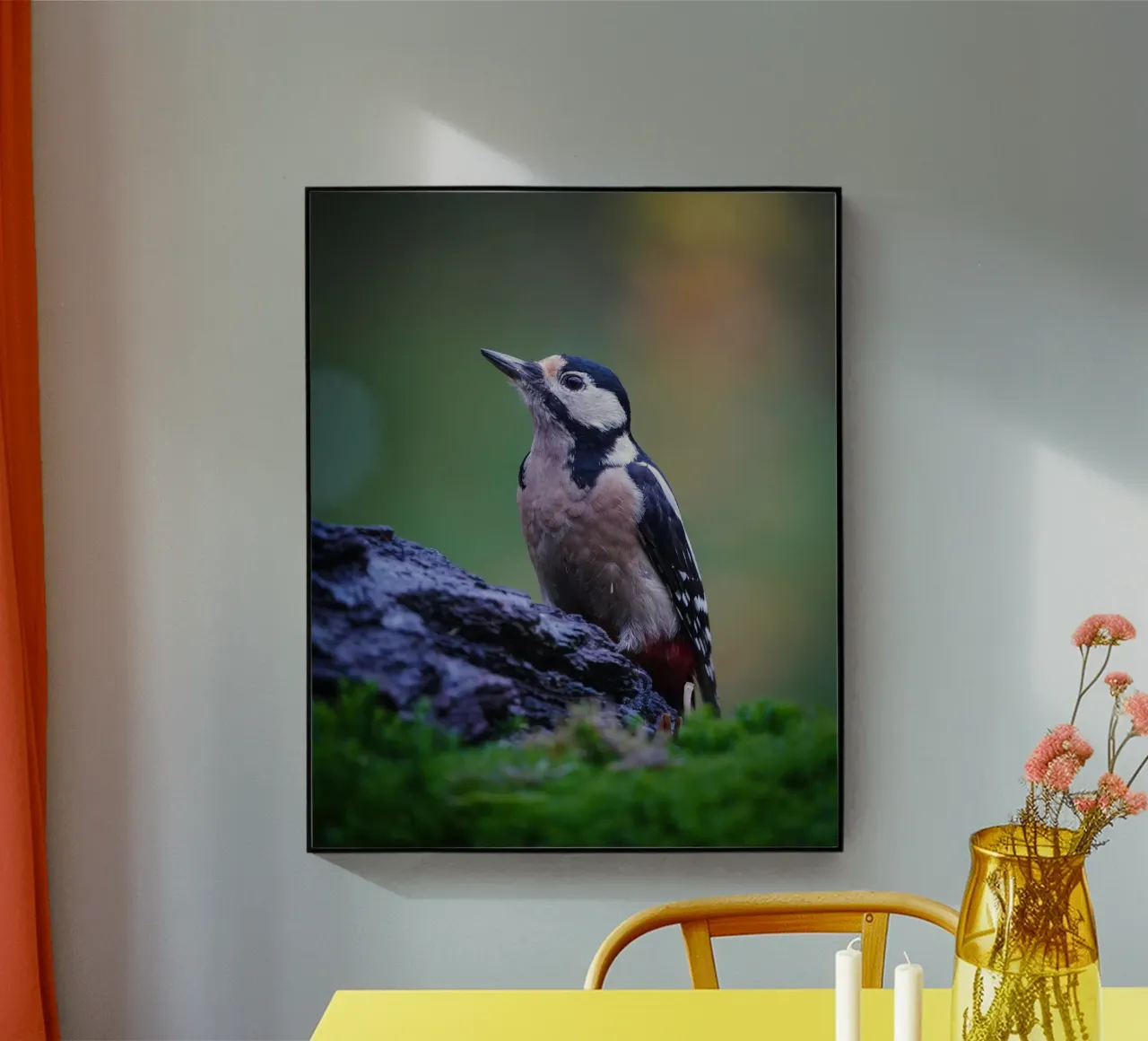 picchio plexiglass da Tom's Wildlife