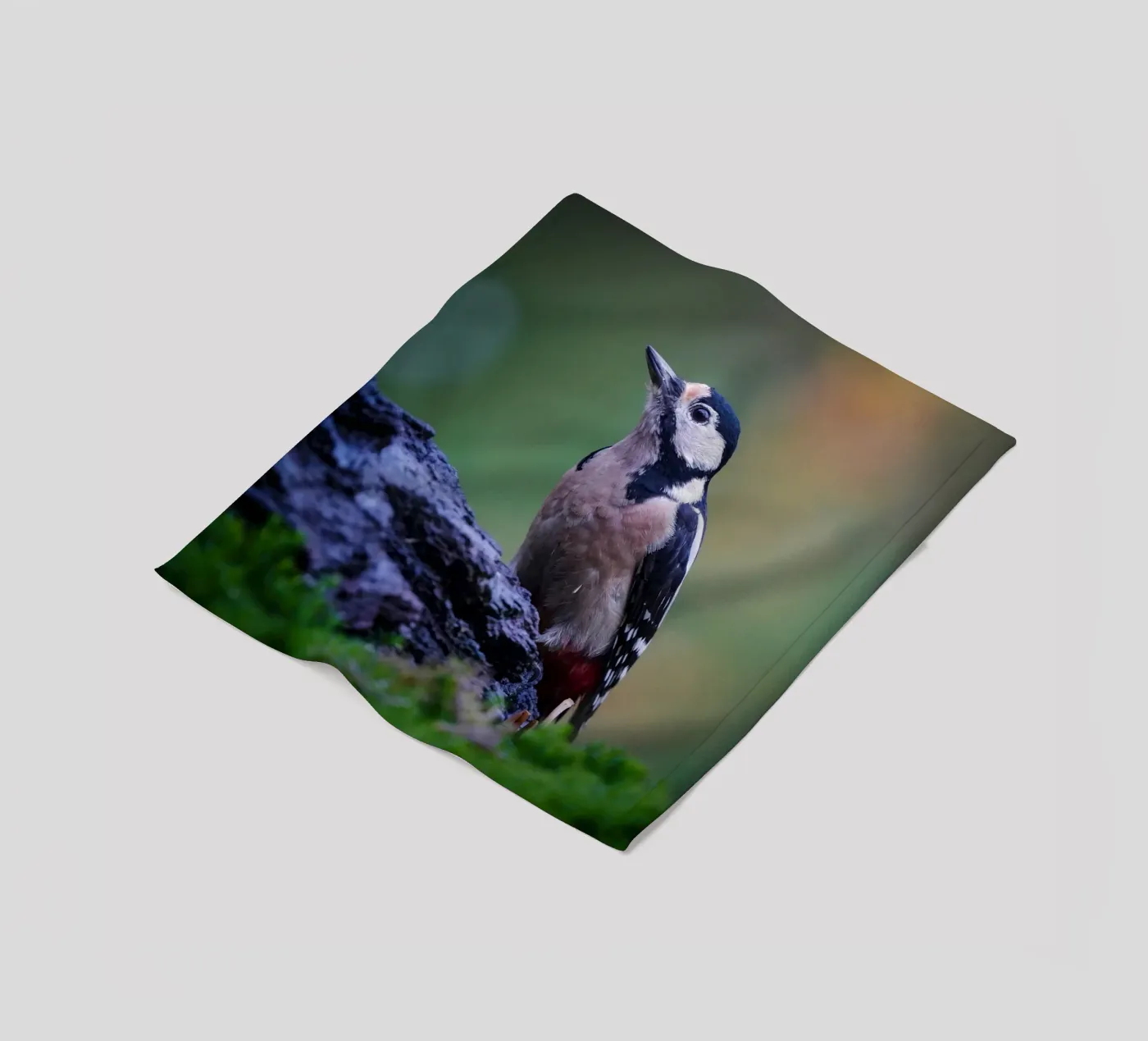 woodpecker Fleecedecke von Tom's Wildlife