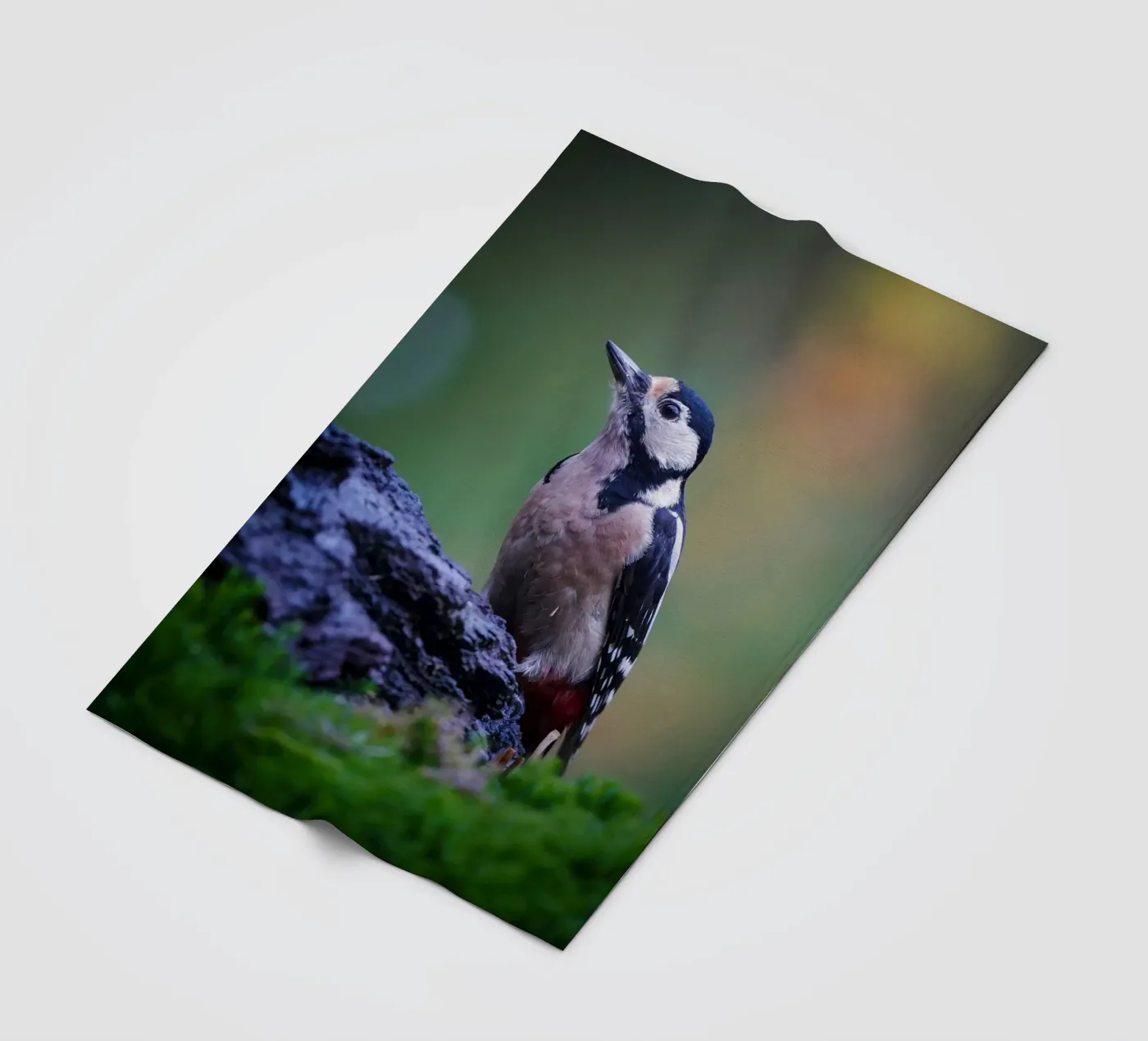 woodpecker Fleecedecke von Tom's Wildlife