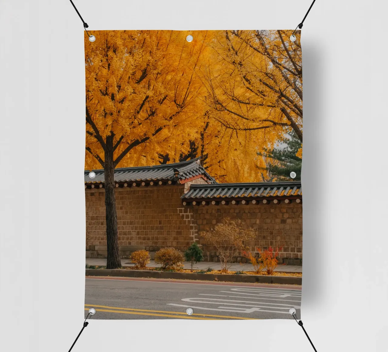 Alberi di ginkgo dorati a Seul, Corea del Sud telo in pvc da mbgraphx2