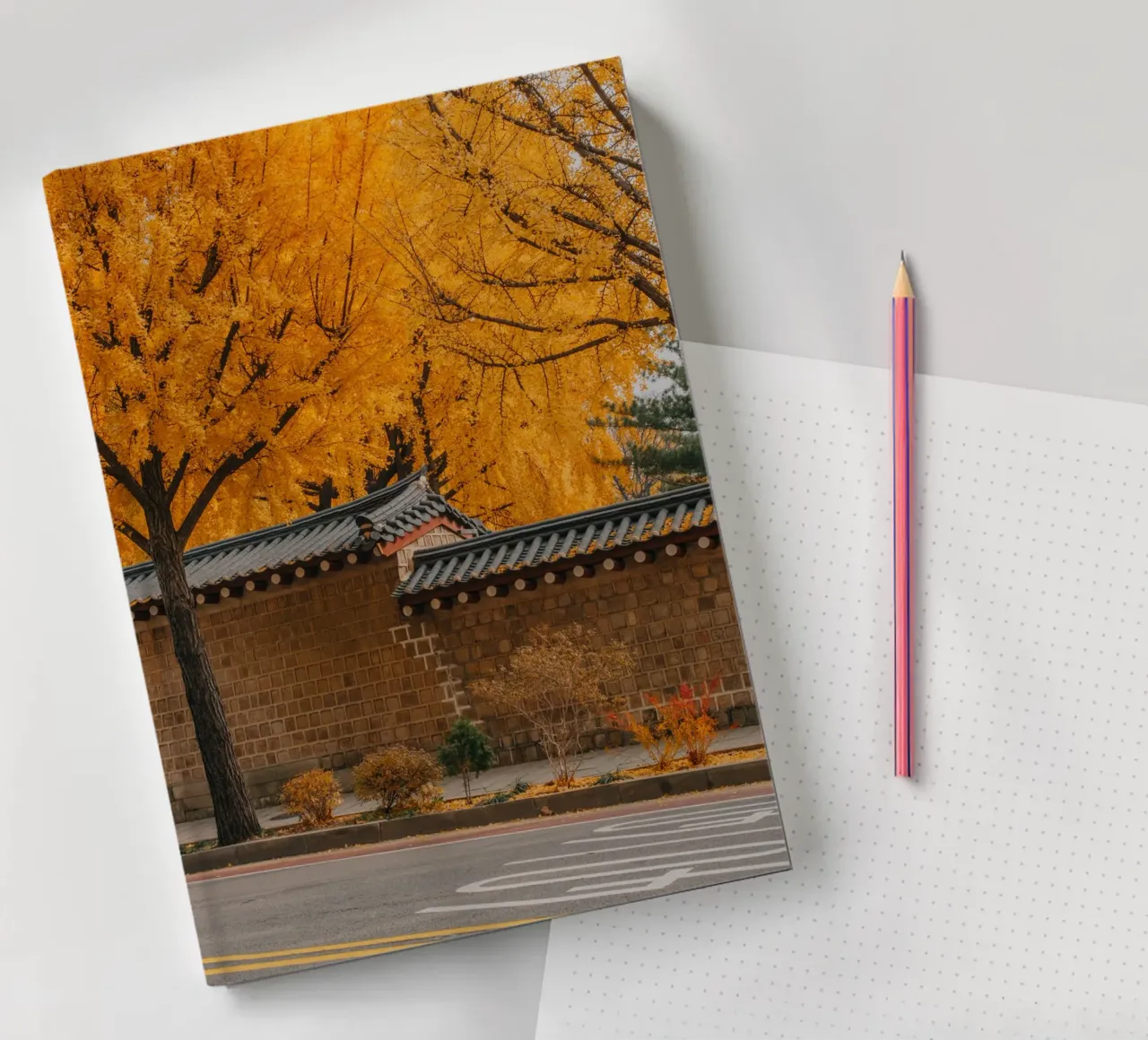 Alberi di ginkgo dorati a Seul, Corea del Sud diario da mbgraphx2