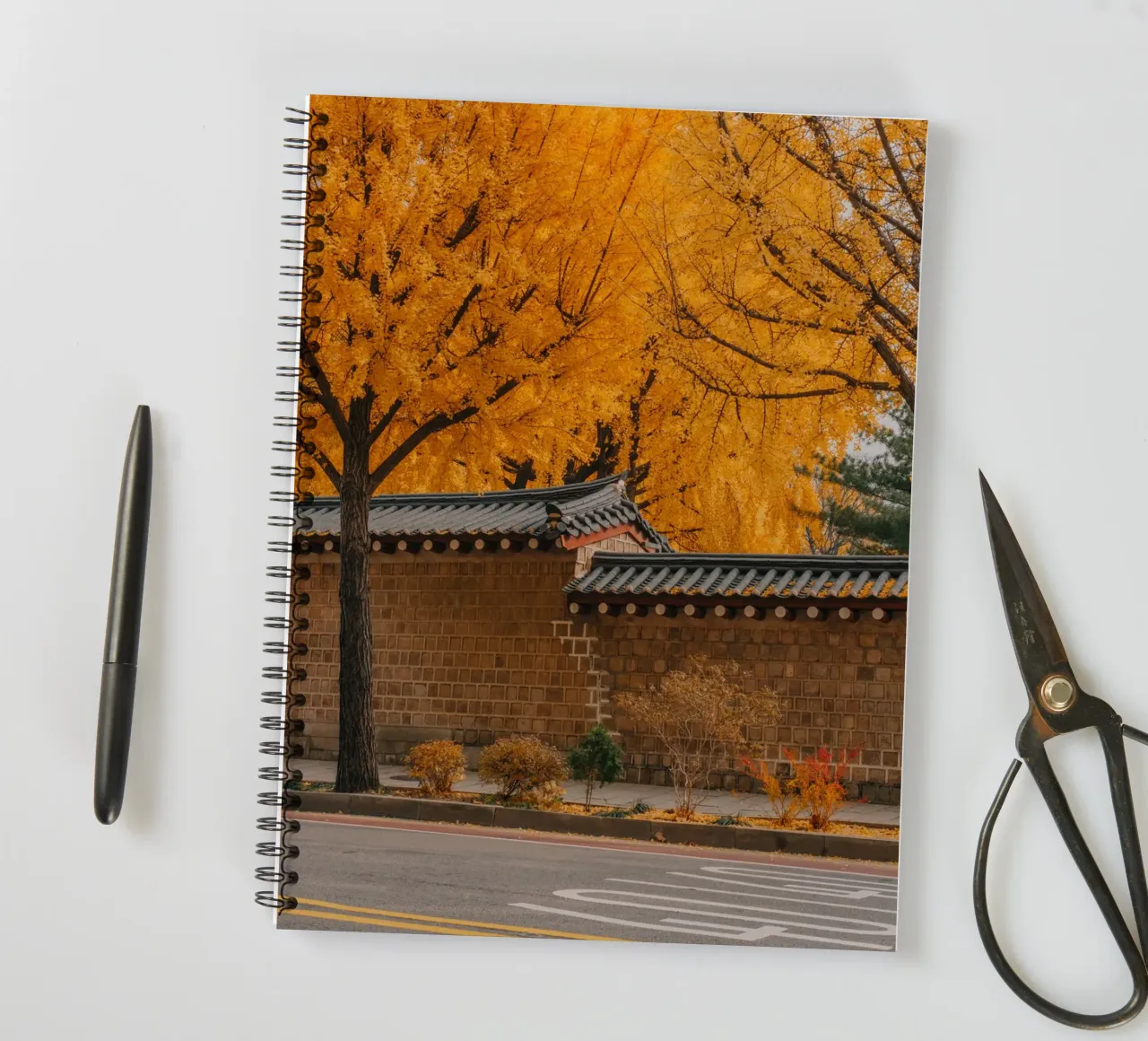 Alberi di ginkgo dorati a Seul, Corea del Sud diario ad anelli da mbgraphx2